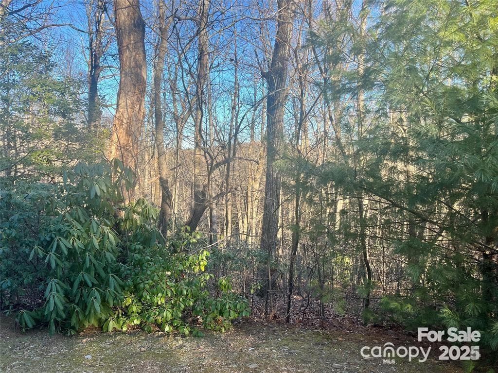 Lot at 129 Pinnacle Peak Lane, Flat Rock, photo 4 of 4