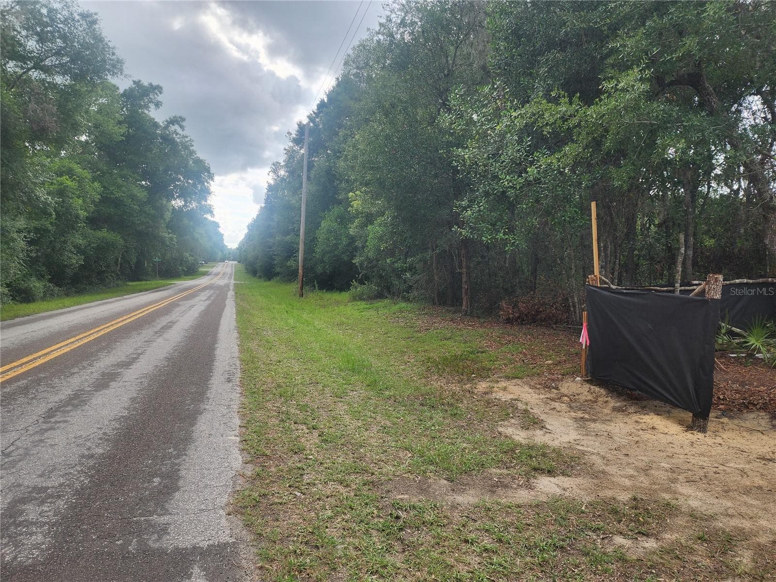 Land at 3919 E ORCHID ST, HERNANDO, photo 3 of 11