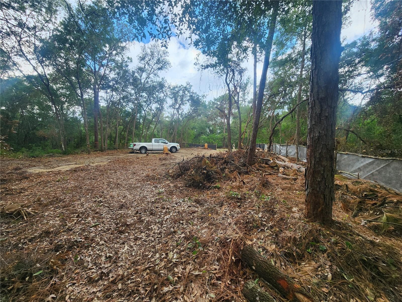 Land at 3919 E ORCHID ST, HERNANDO, photo 6 of 11