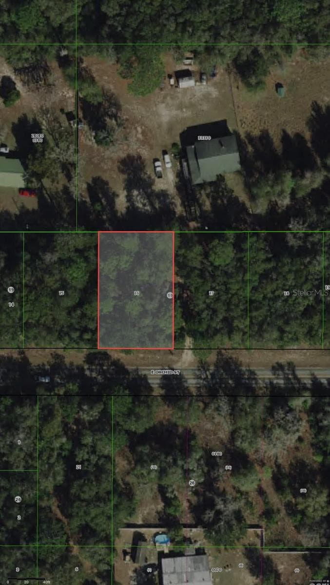 Land at 3919 E ORCHID ST, HERNANDO, photo 7 of 11
