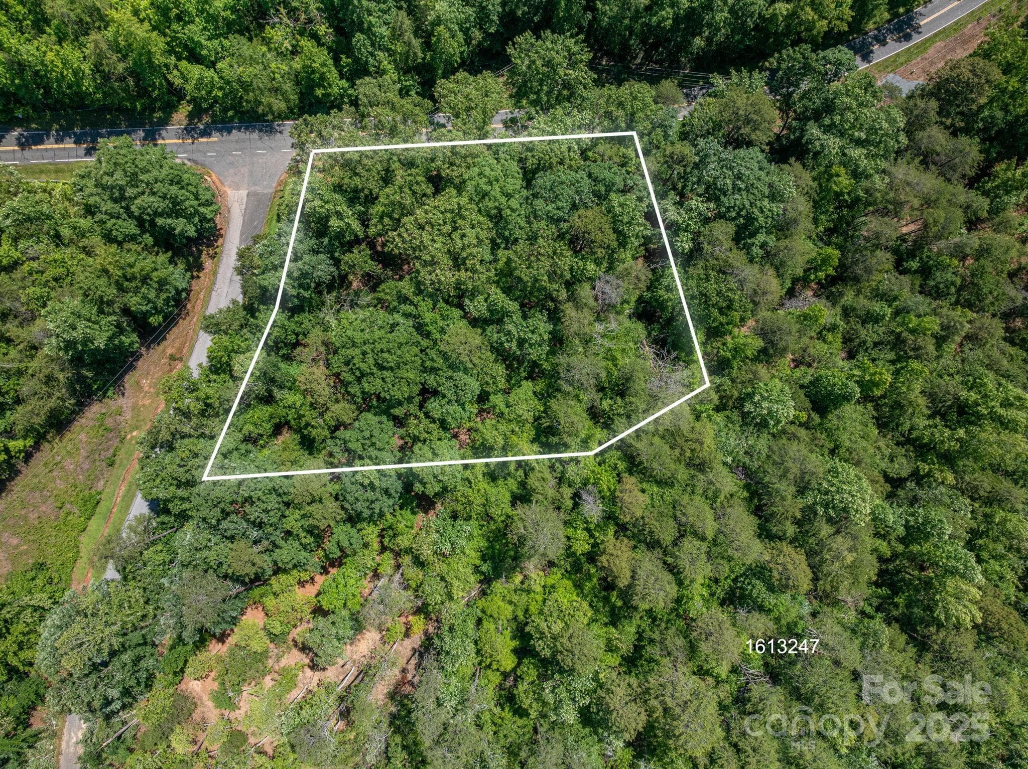 Lot at Lot #6 Cleghorn Mill Road, Rutherfordton, photo 3 of 26