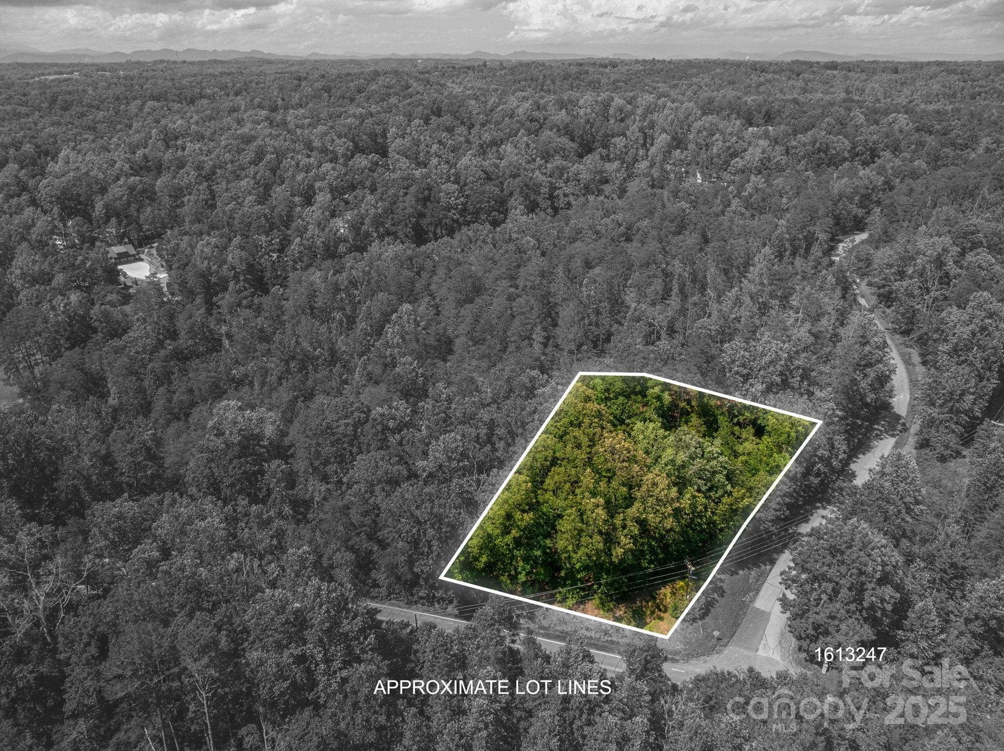Lot at Lot #6 Cleghorn Mill Road, Rutherfordton, photo 4 of 26