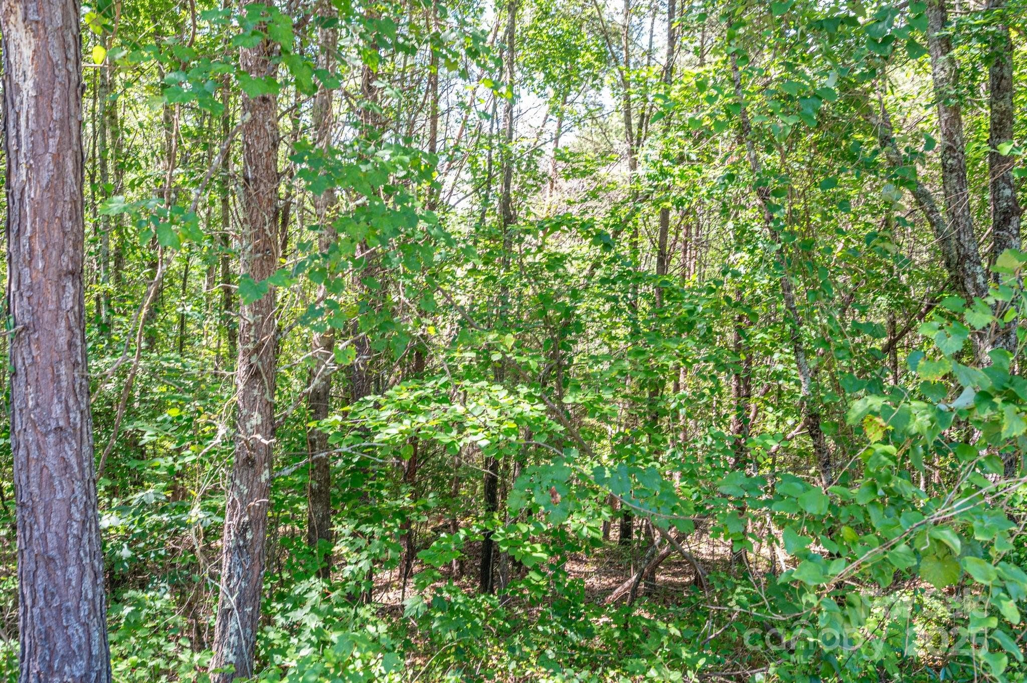Lot at Lot #13 Meadow Crossing Drive, Rutherfordton, photo 4 of 16