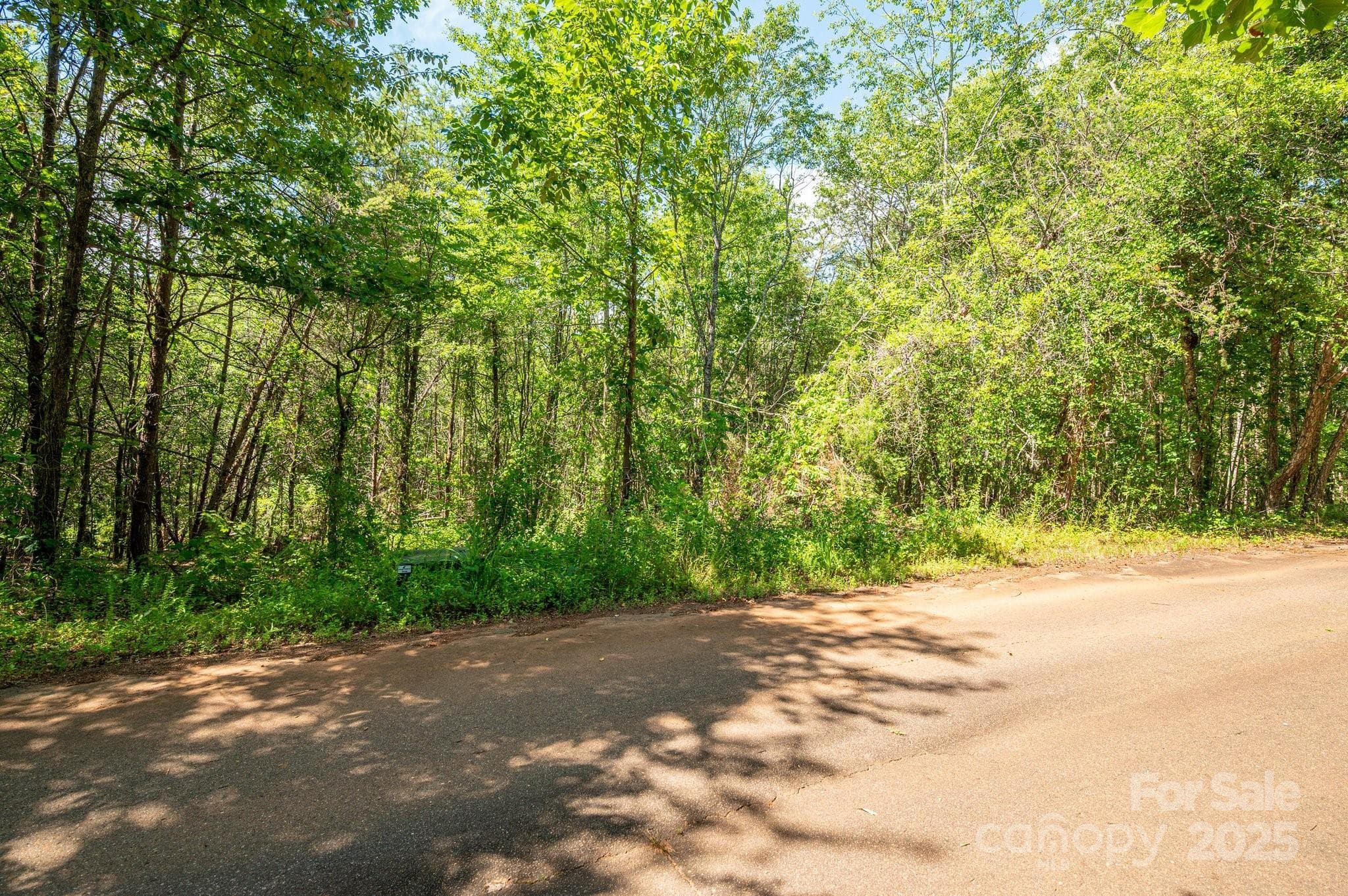 Lot at Lot #14 Meadow Crossing Drive, Rutherfordton, photo 3 of 15