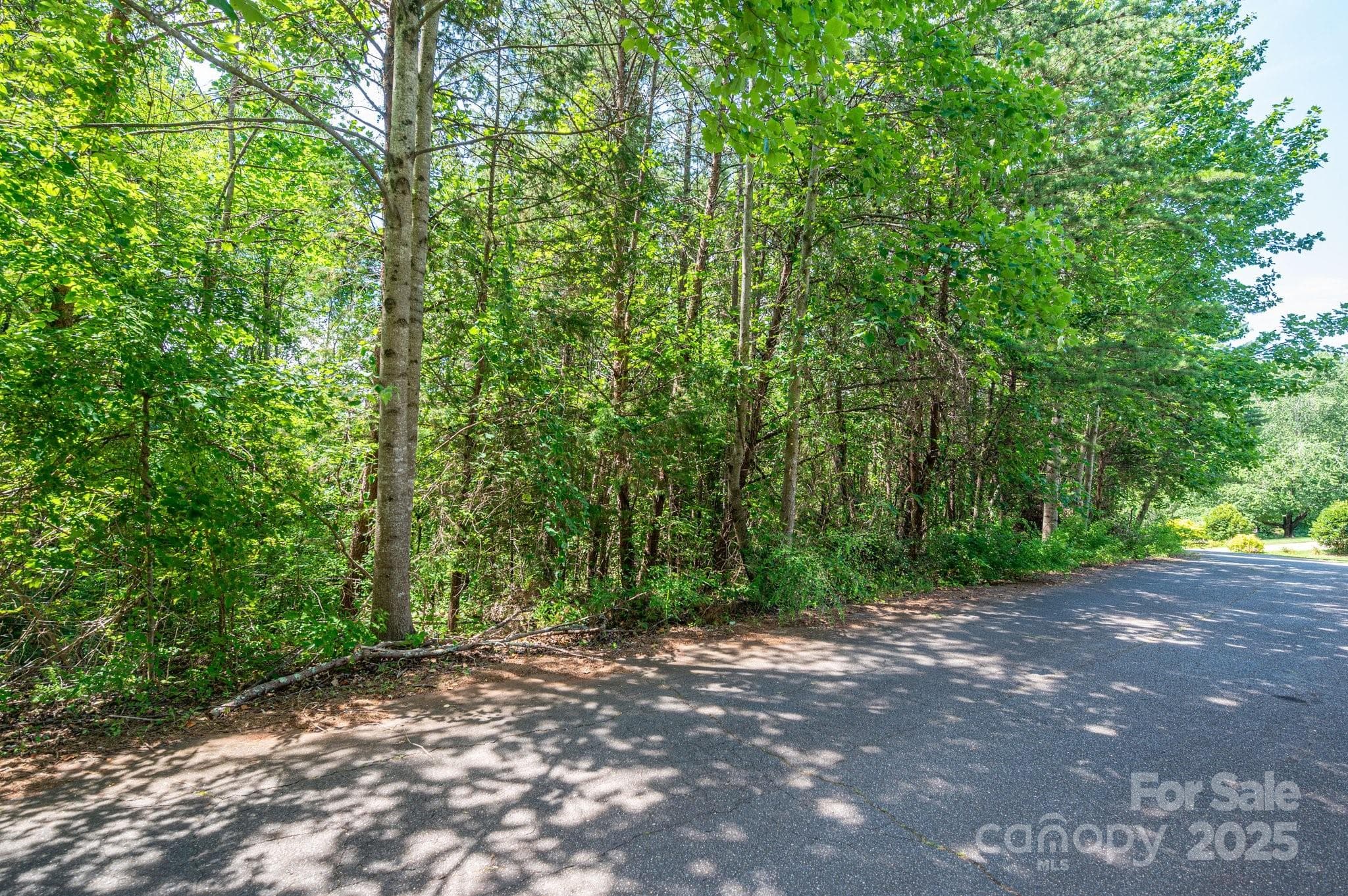 Lot at Lot #24 Deacons Ridge Drive, Rutherfordton, photo 2 of 15