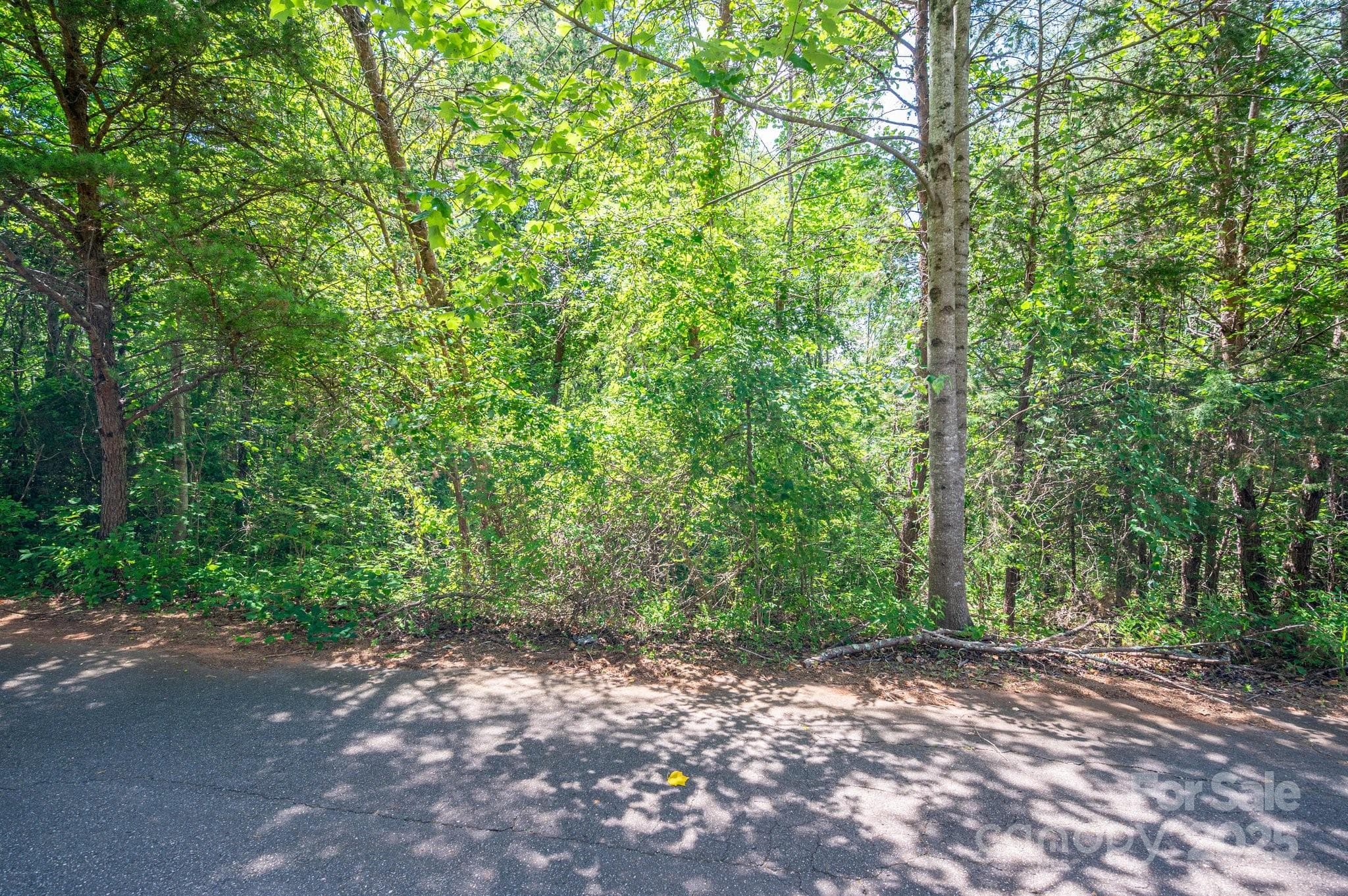 Lot at Lot #24 Deacons Ridge Drive, Rutherfordton, photo 3 of 15