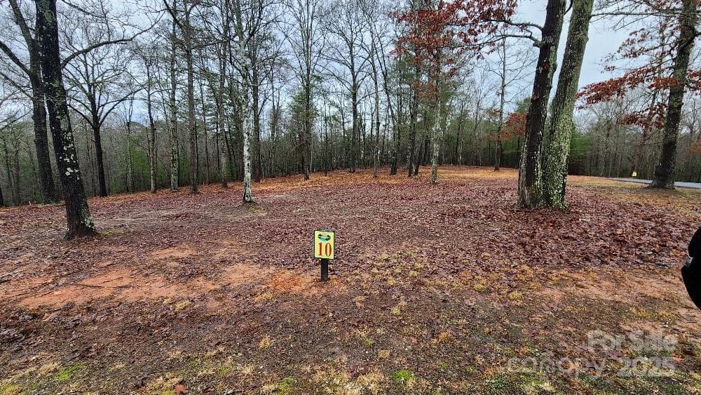 Lot at 10 Arbor Creek Trail, Mineral Bluff, photo 2 of 9