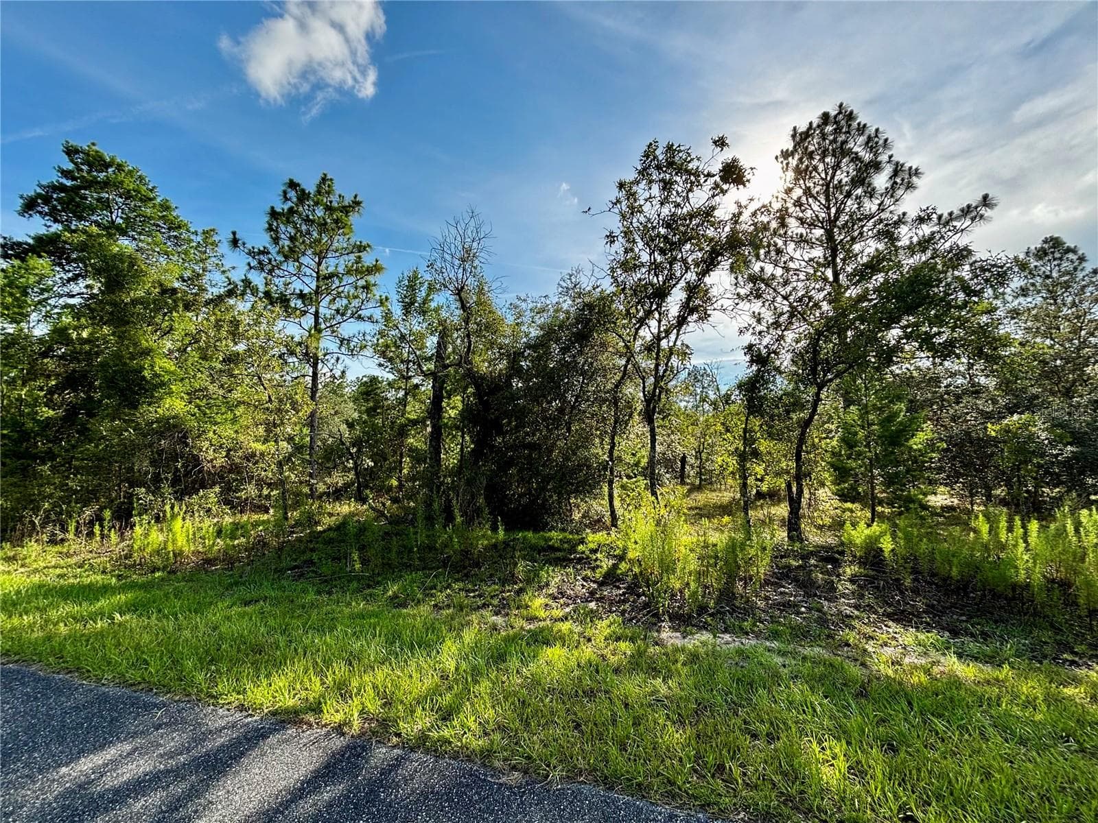 Lot 24 SE 136 TER