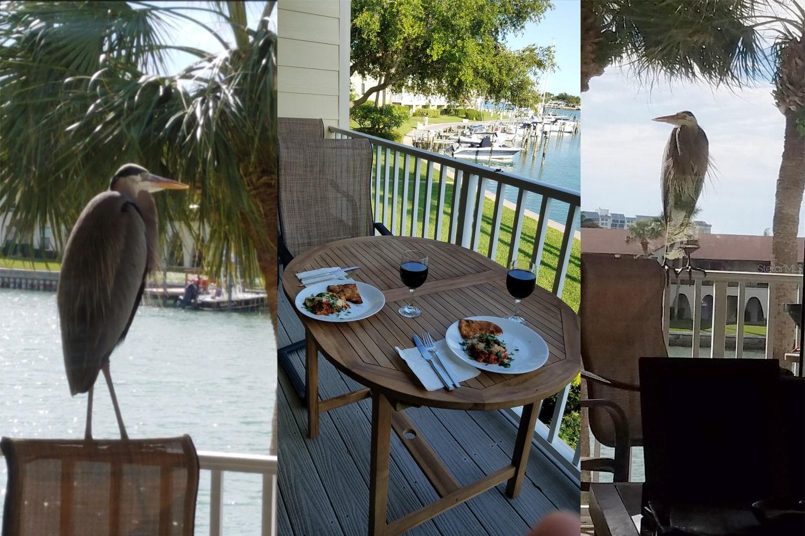 Balcony Dinner & a Show - 459 HAVEN POINT DR, TREASURE ISLAND
