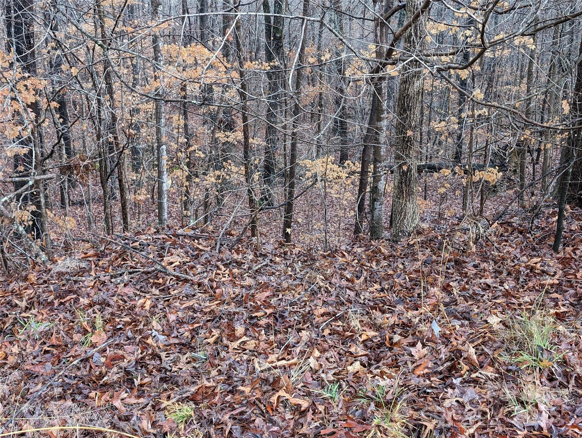 Lot at 255 Bowers Road, Thomasville, photo 12 of 12