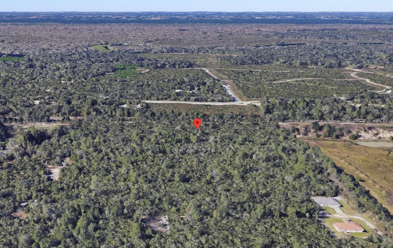 Land at RIEGEL (PAPER) AVE, ORANGE CITY, photo 8 of 9