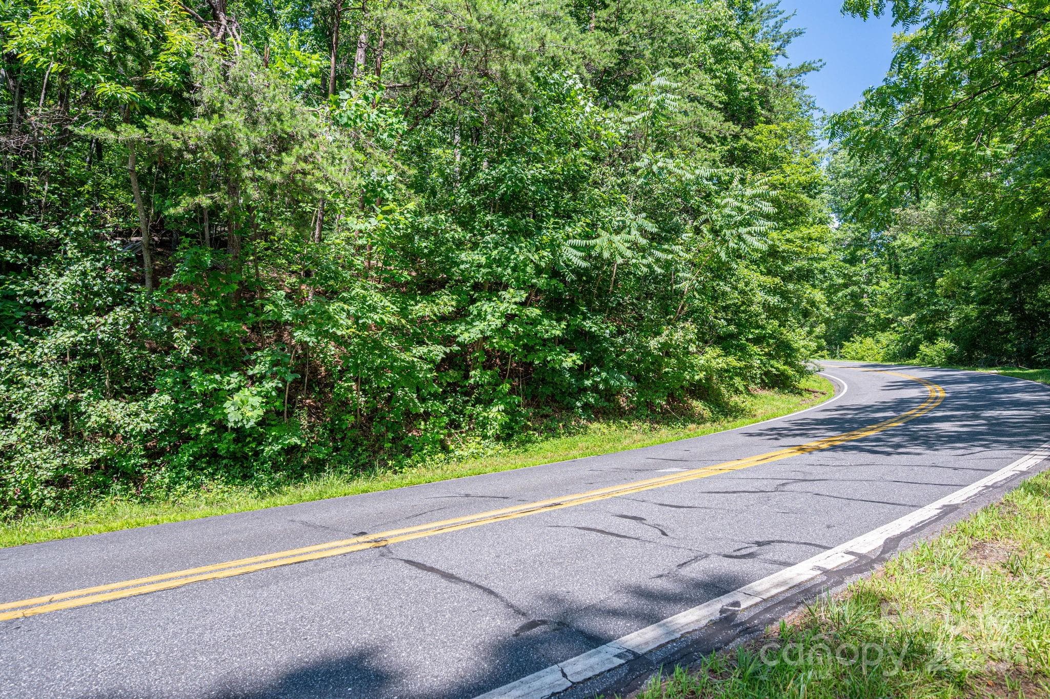 Lot at Lot #69 Cleghorn Mill Road, Rutherfordton, photo 3 of 26