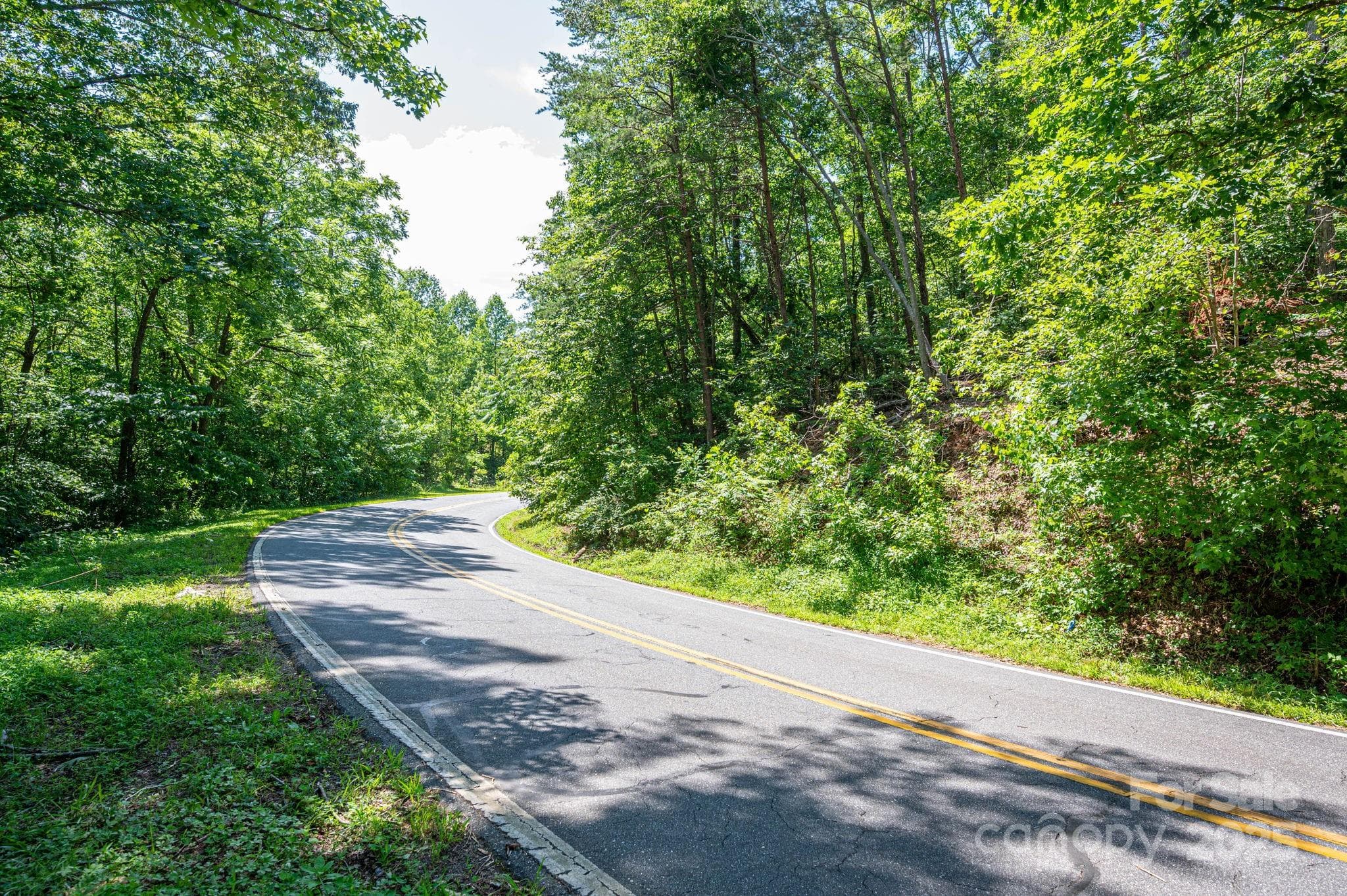 Lot at Lot #69 Cleghorn Mill Road, Rutherfordton, photo 4 of 26
