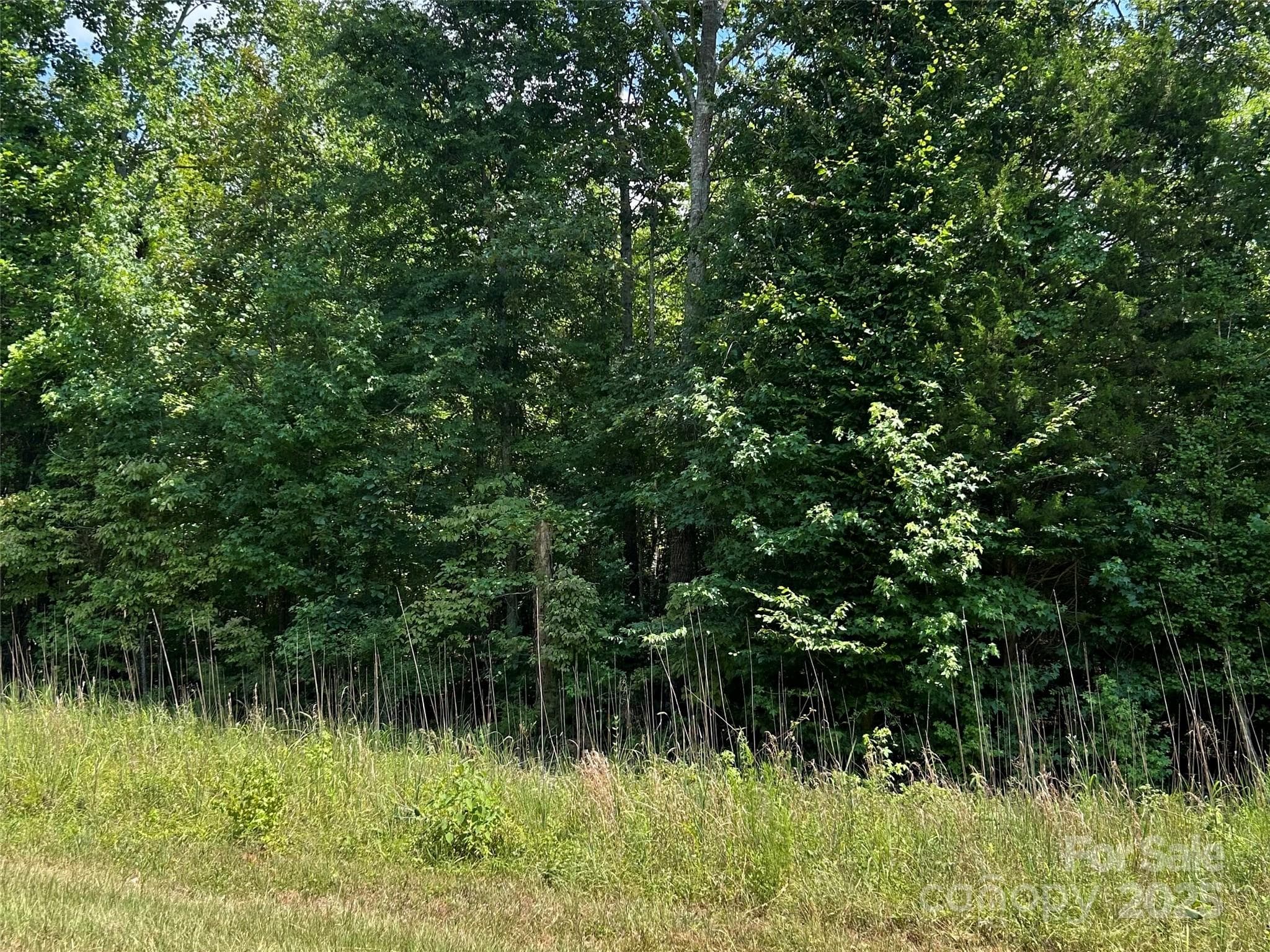 Lot at Sharon, photo 5 of 6