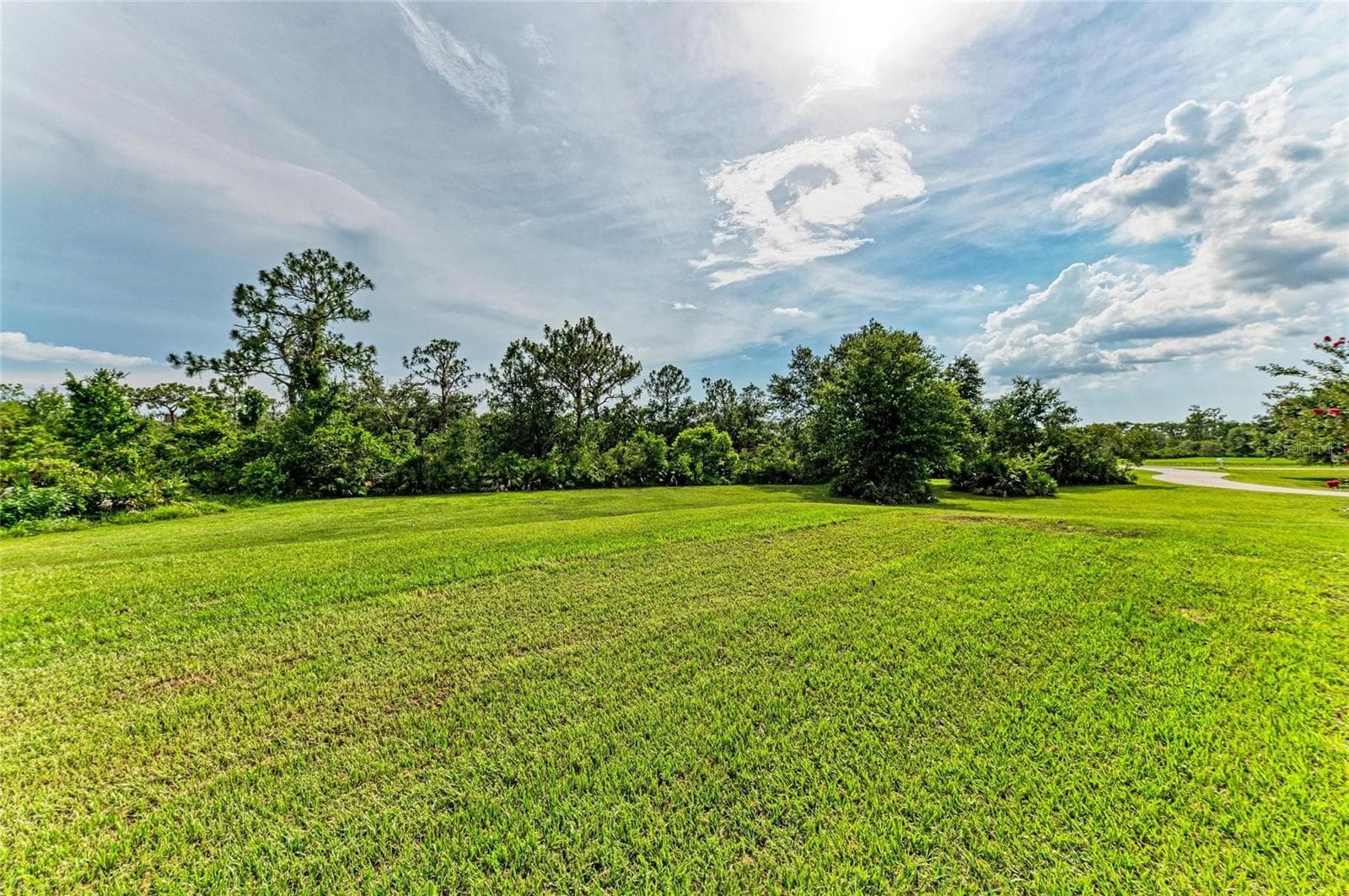Back yard - 8331 241ST ST E, MYAKKA CITY