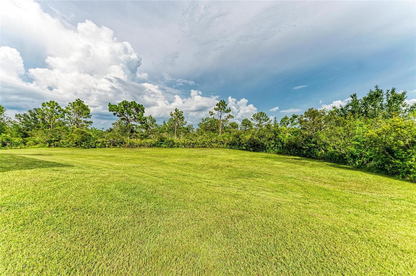 Expansive Yard - 8331 241ST ST E, MYAKKA CITY
