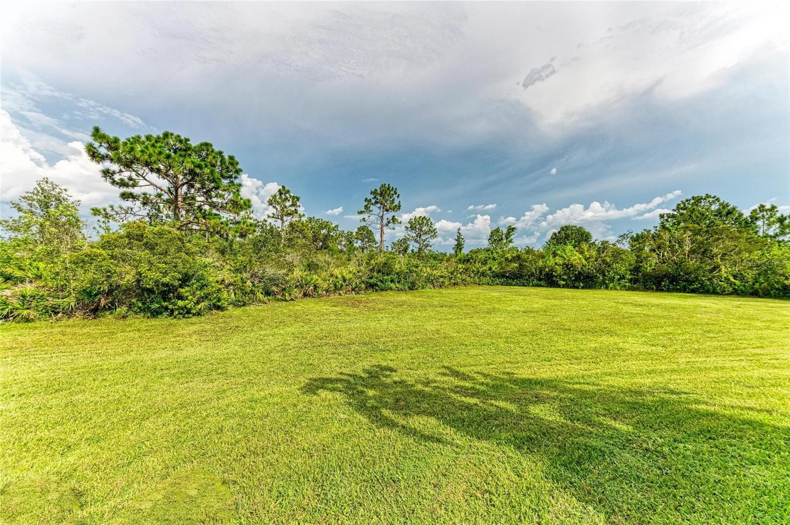 Side Yard - 8331 241ST ST E, MYAKKA CITY