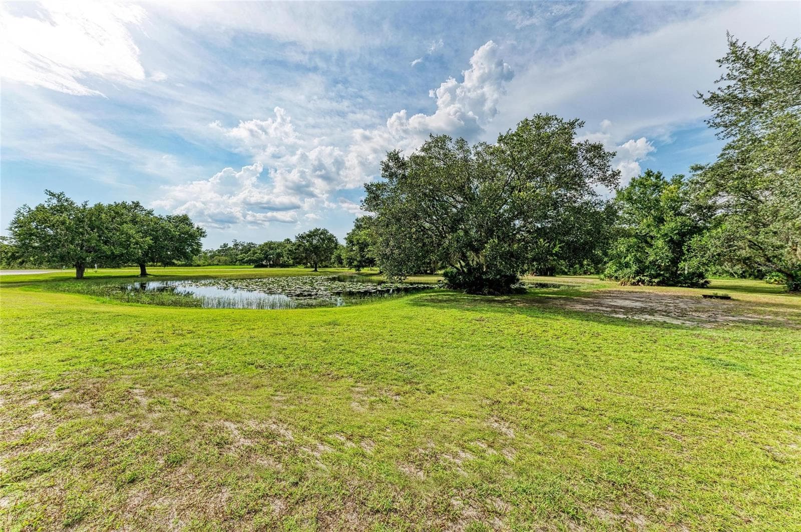 Front Yard - 8331 241ST ST E, MYAKKA CITY