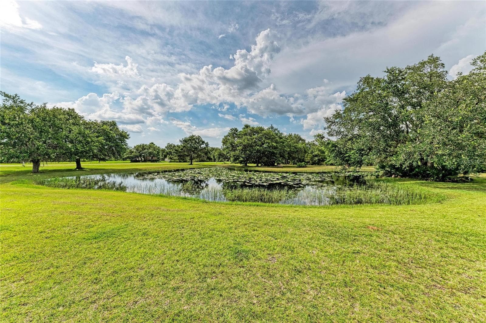 Pond in Front Yard - 8331 241ST ST E, MYAKKA CITY