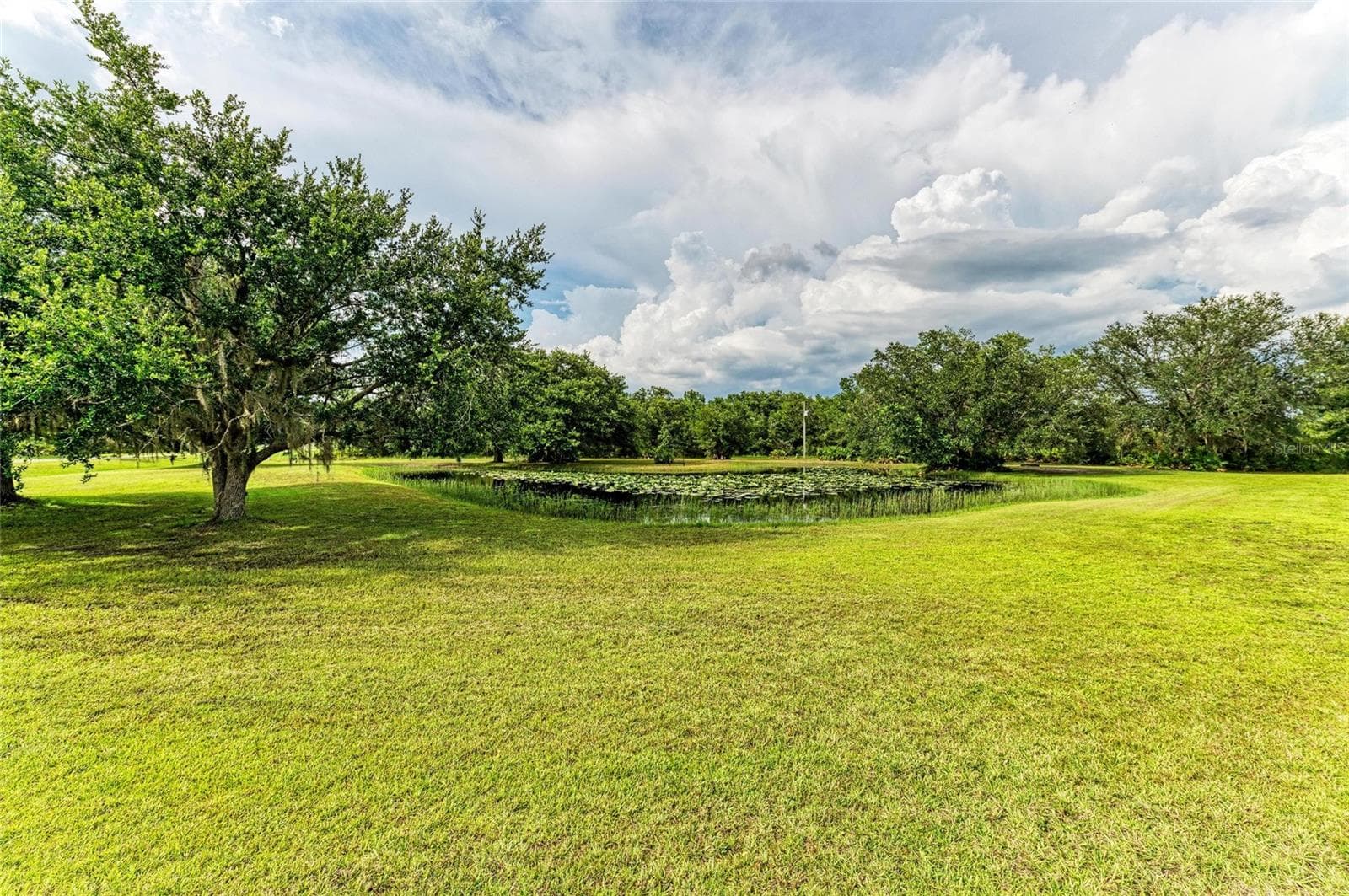Beautiful Mature Oaks - 8331 241ST ST E, MYAKKA CITY