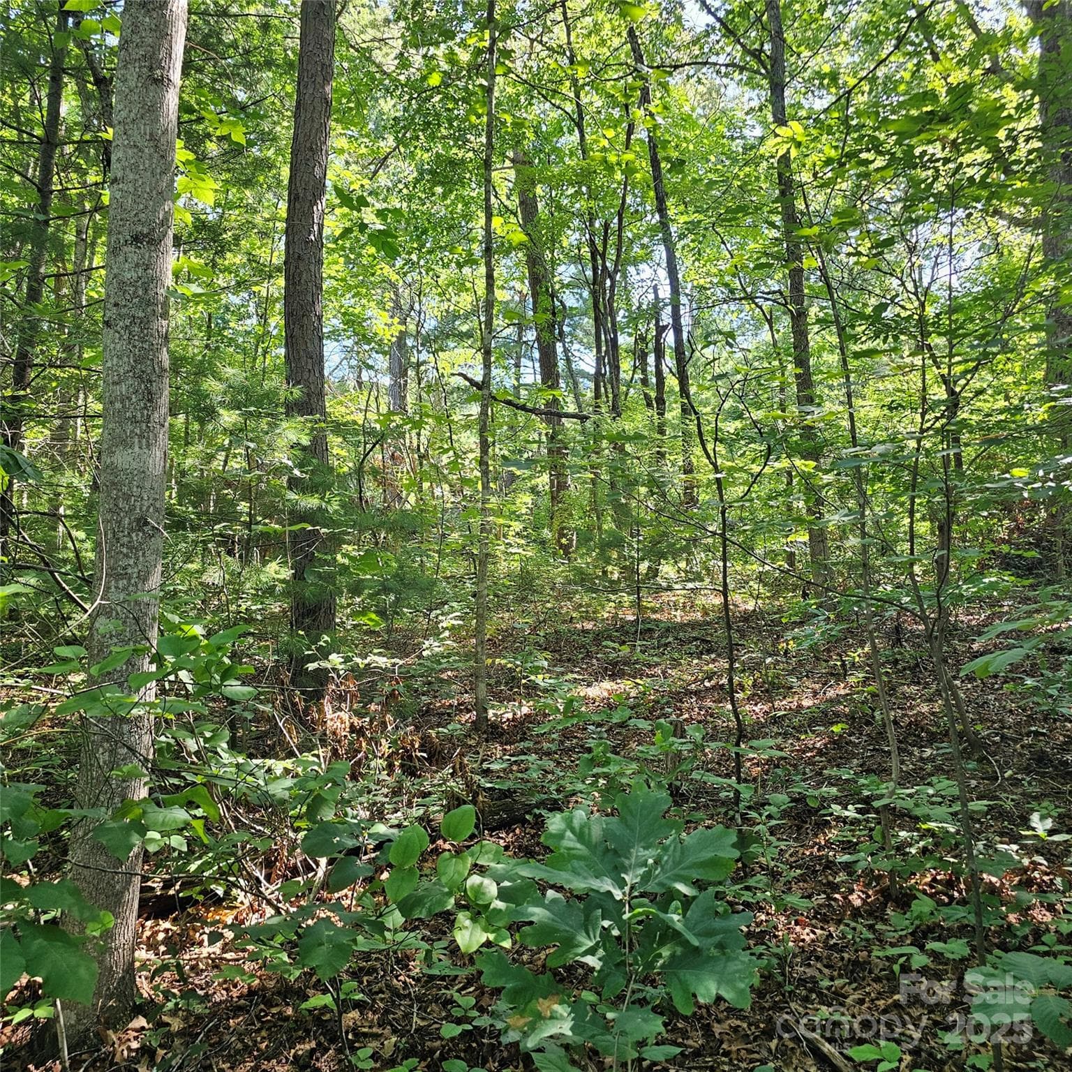 Lot at Asheville, photo 2 of 3