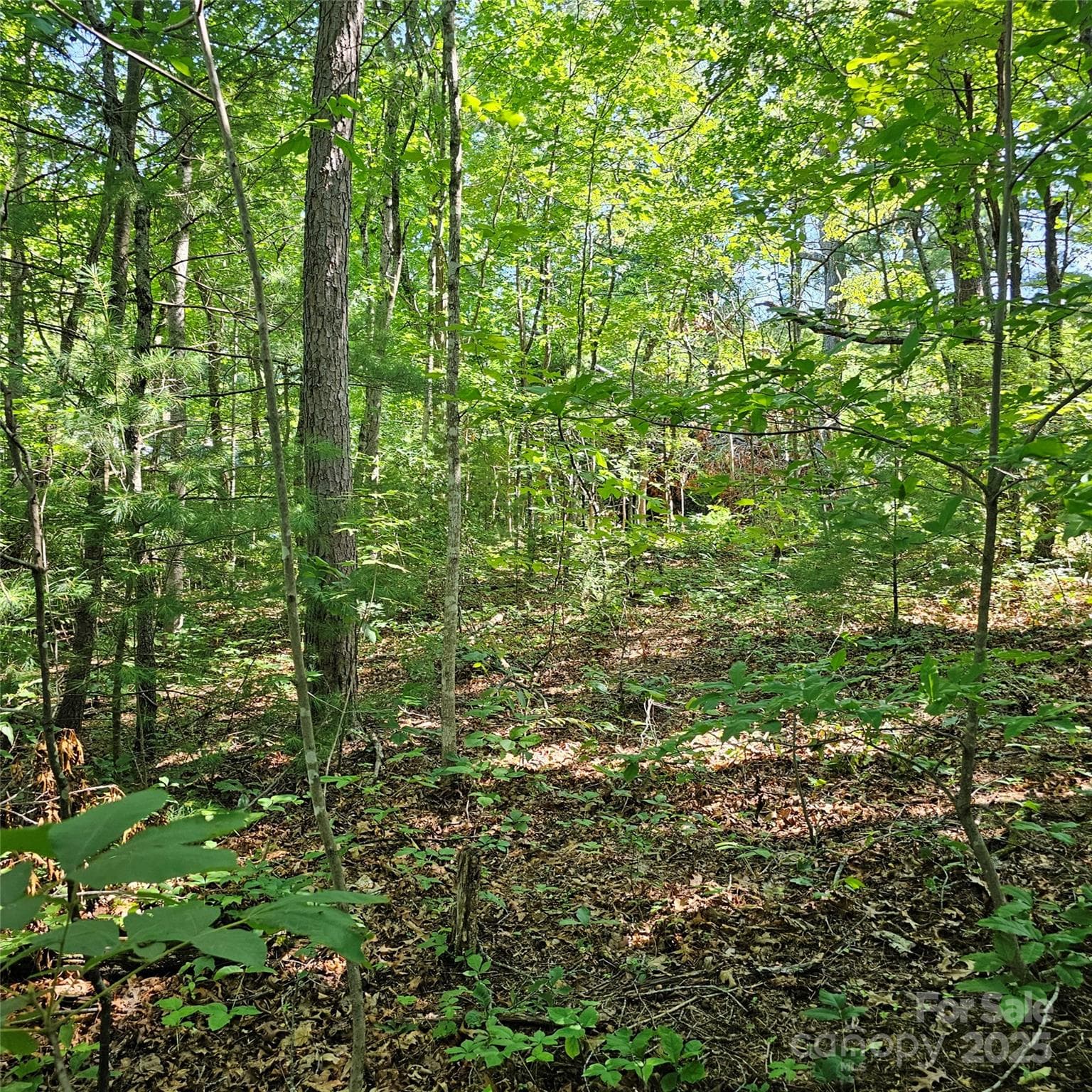 Lot at Asheville, photo 3 of 3
