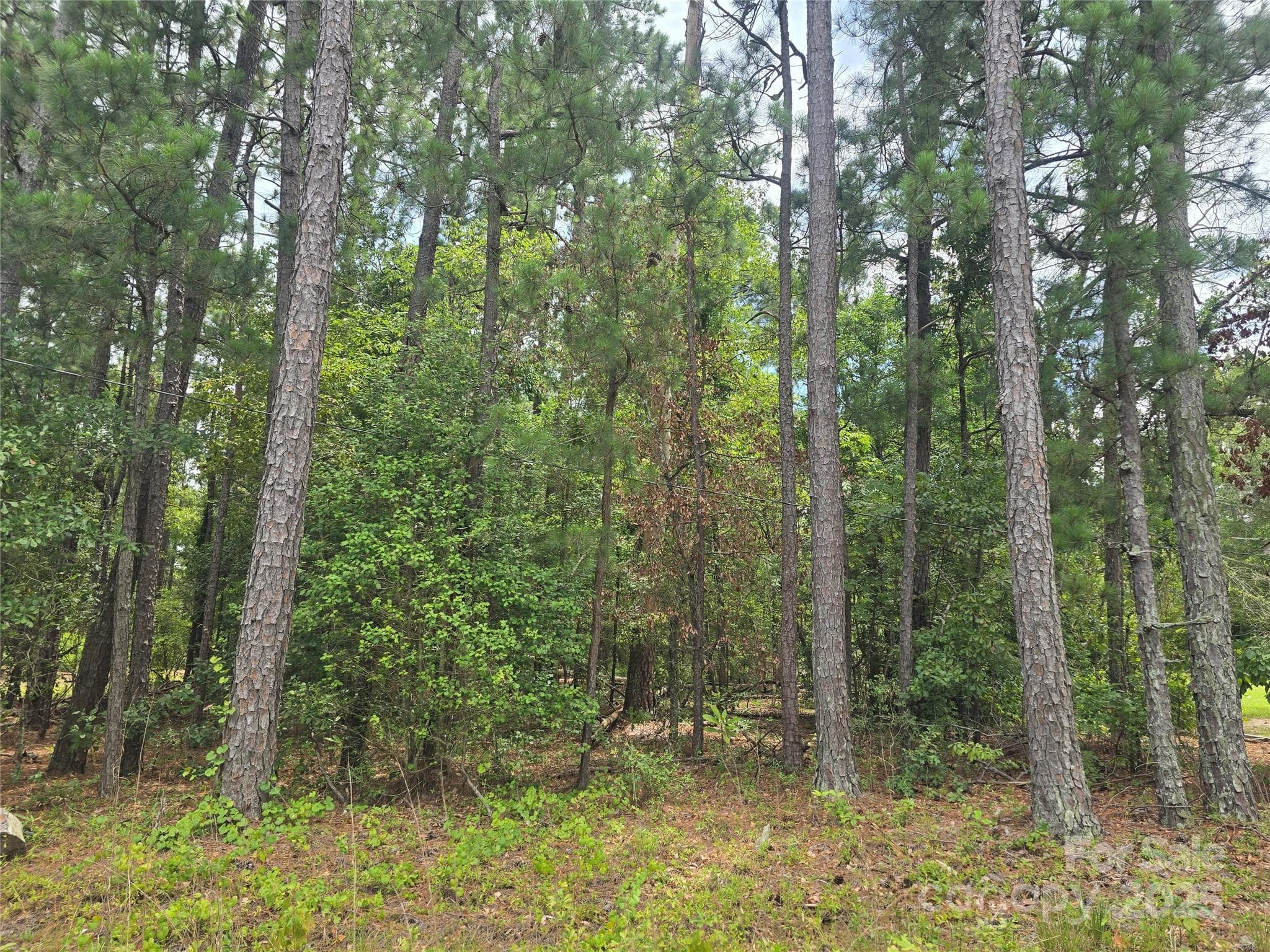 Lot at 00 Johnny Williams Road, Kershaw, photo 2 of 6