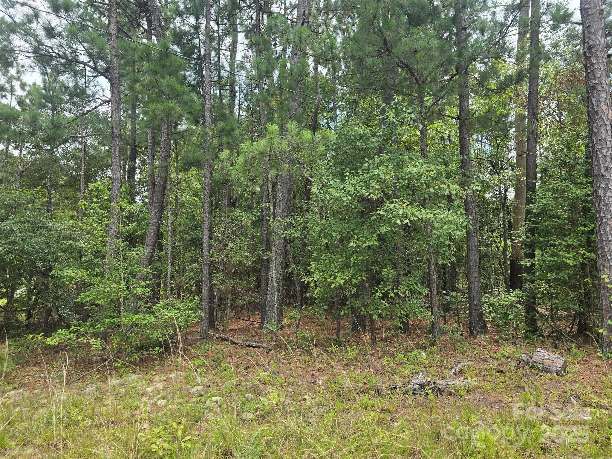Lot at 00 Johnny Williams Road, Kershaw, photo 3 of 6