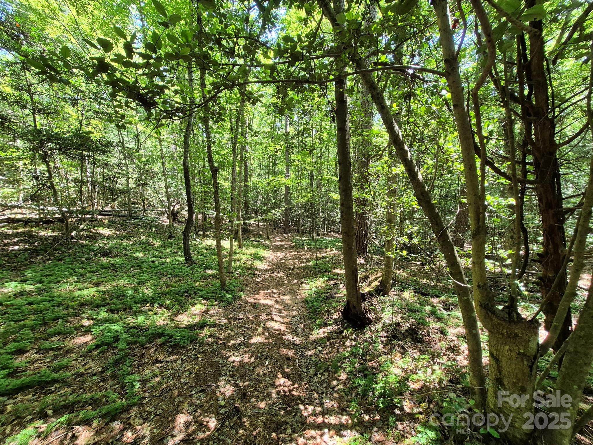 Acreage at 000 16th Street NE, Hickory, photo 5 of 23