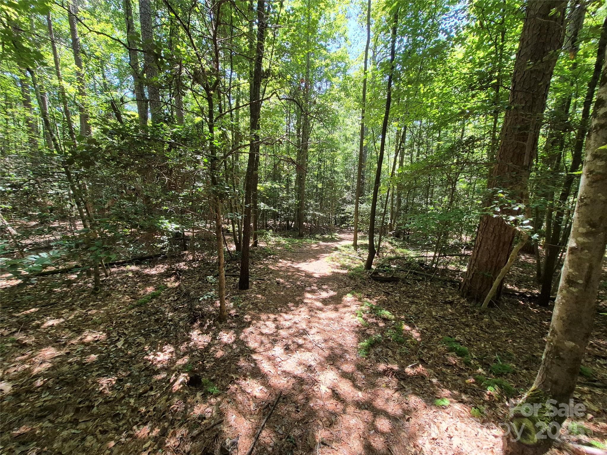 Acreage at 000 16th Street NE, Hickory, photo 6 of 23