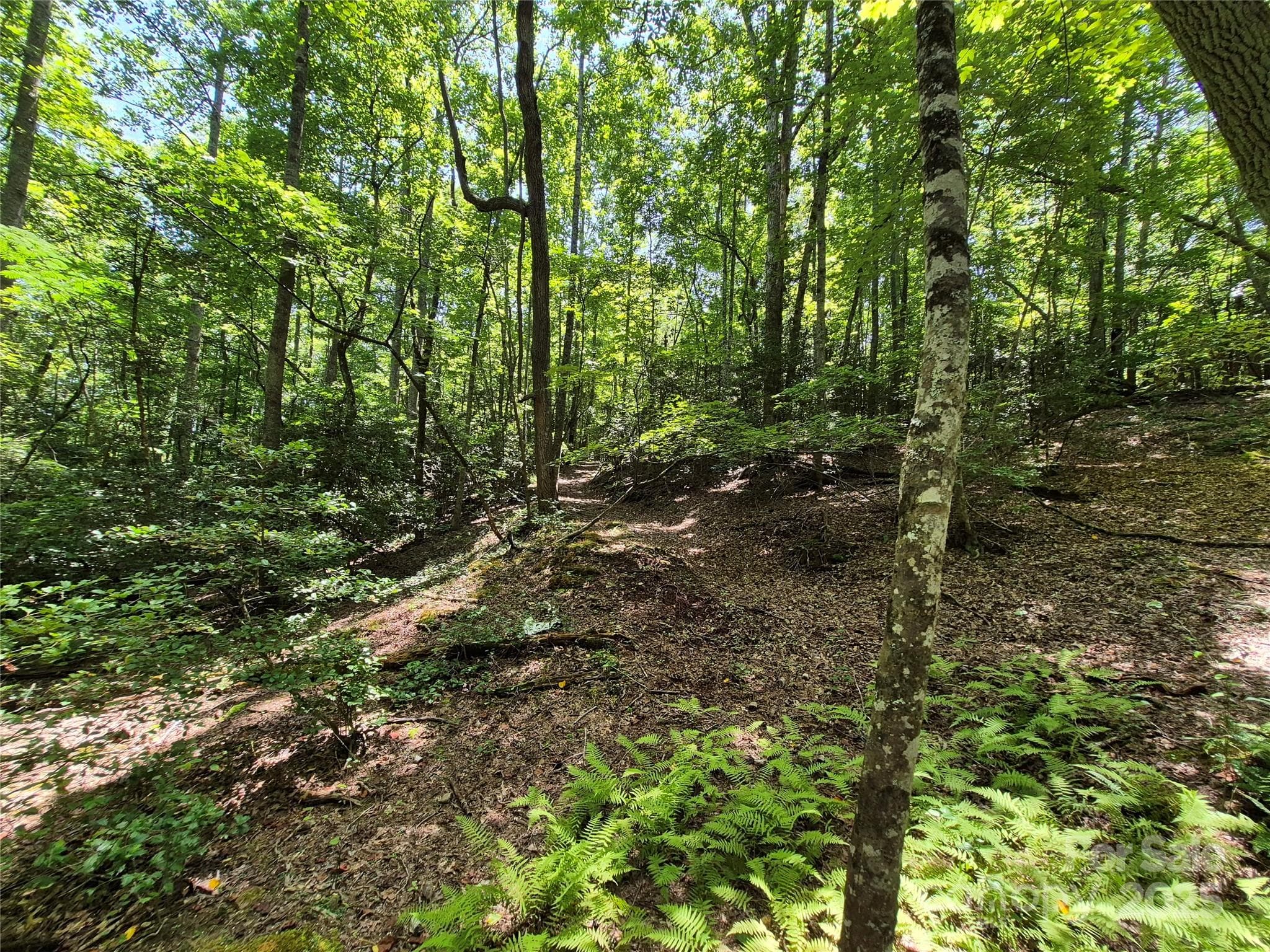 Acreage at 000 16th Street NE, Hickory, photo 12 of 23