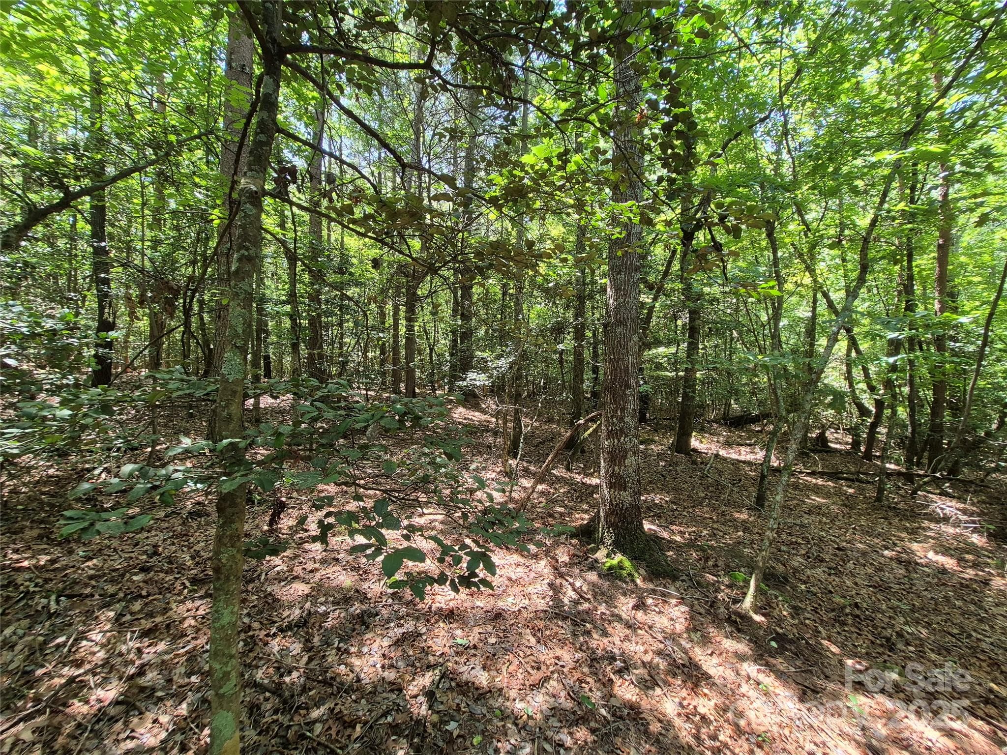 Acreage at 000 16th Street NE, Hickory, photo 17 of 23