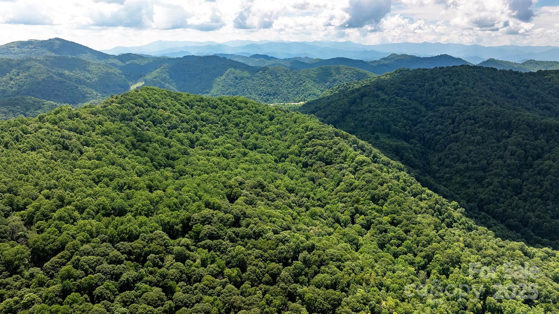 Own Your own mountain paradise - Mars Hill