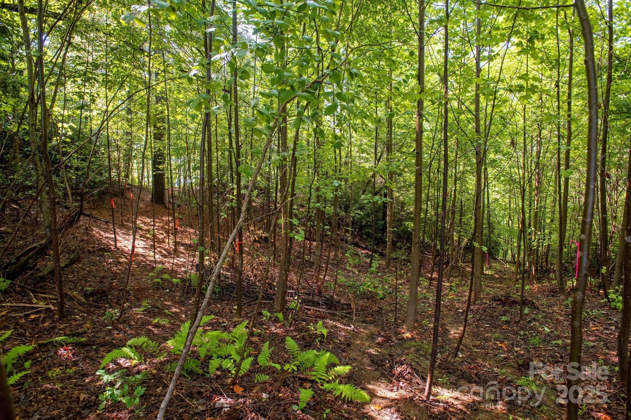 Lot at Lot # 2 Masterpiece View Drive, Hendersonville, photo 14 of 39