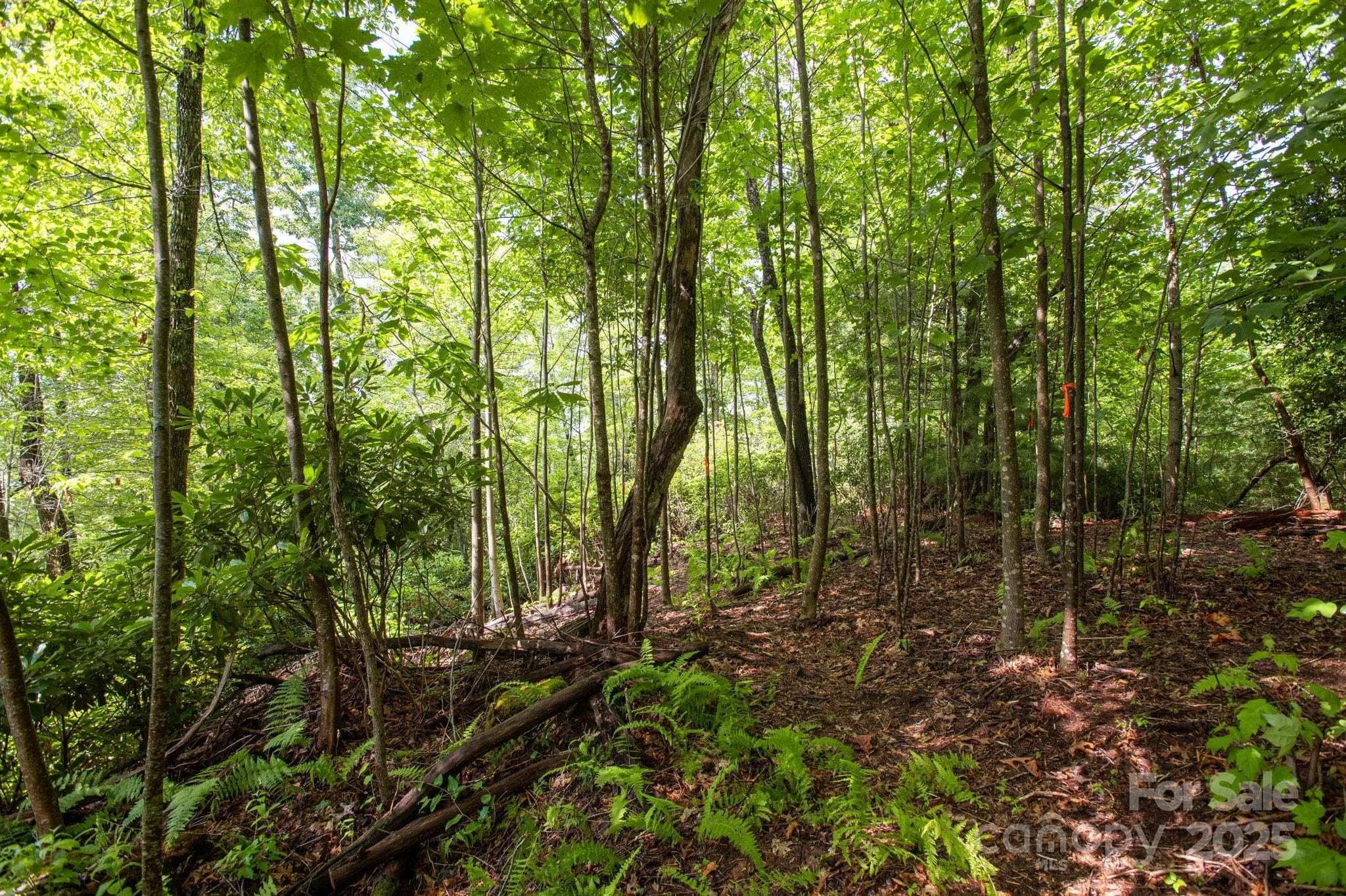 Lot at Lot # 2 Masterpiece View Drive, Hendersonville, photo 15 of 39