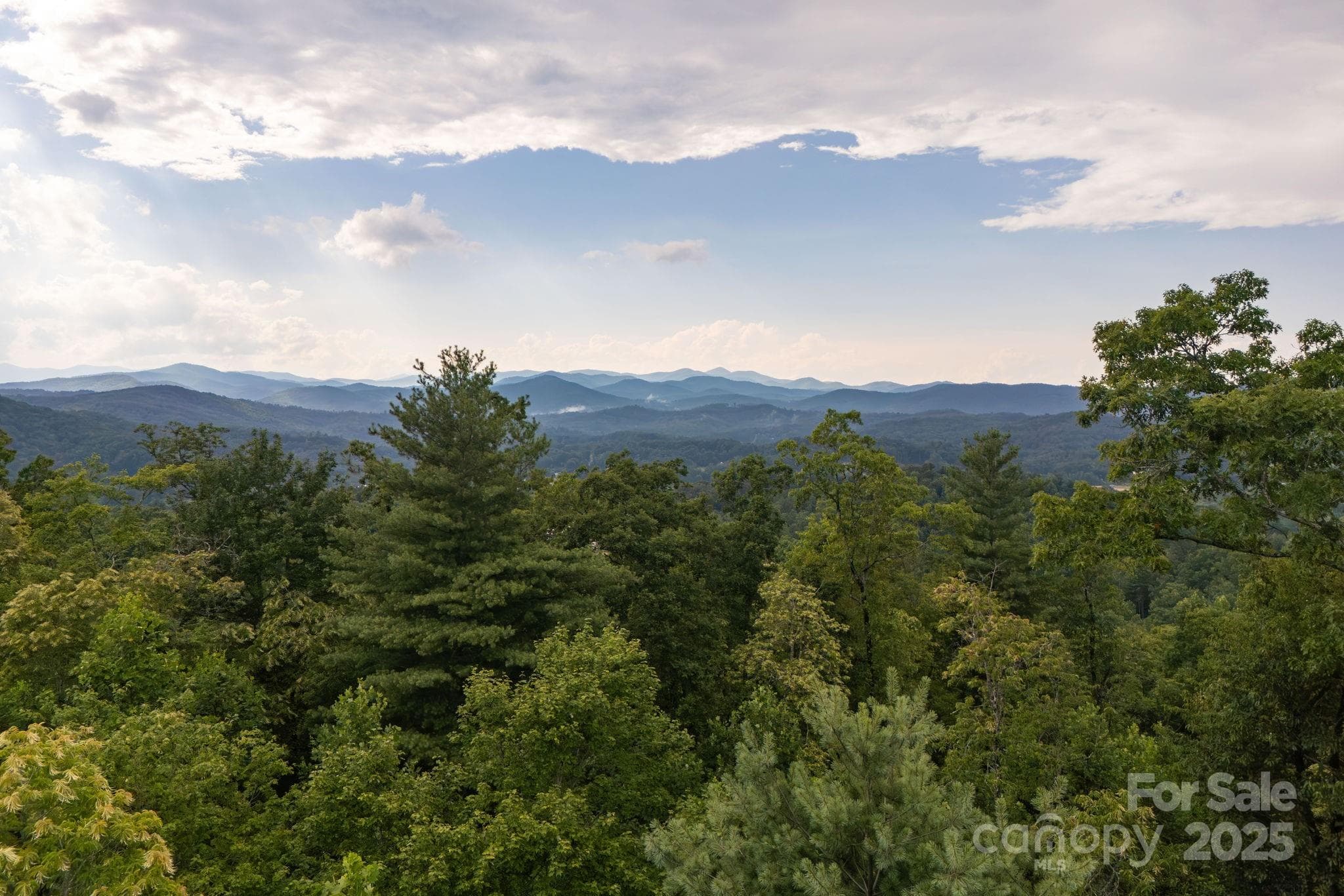 Lot at Lot # 2 Masterpiece View Drive, Hendersonville, photo 19 of 39