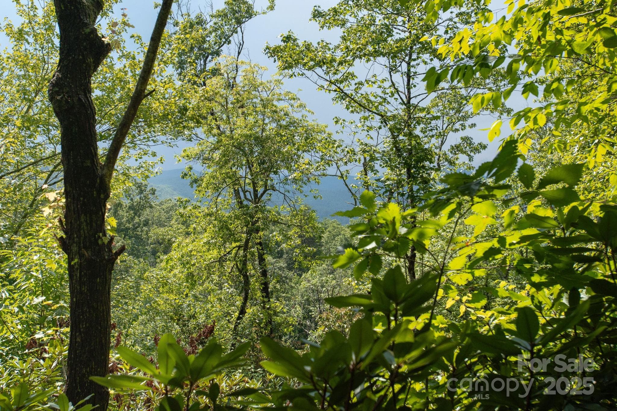 Lot at Lot # 3 Masterpiece View Drive, Hendersonville, photo 8 of 34