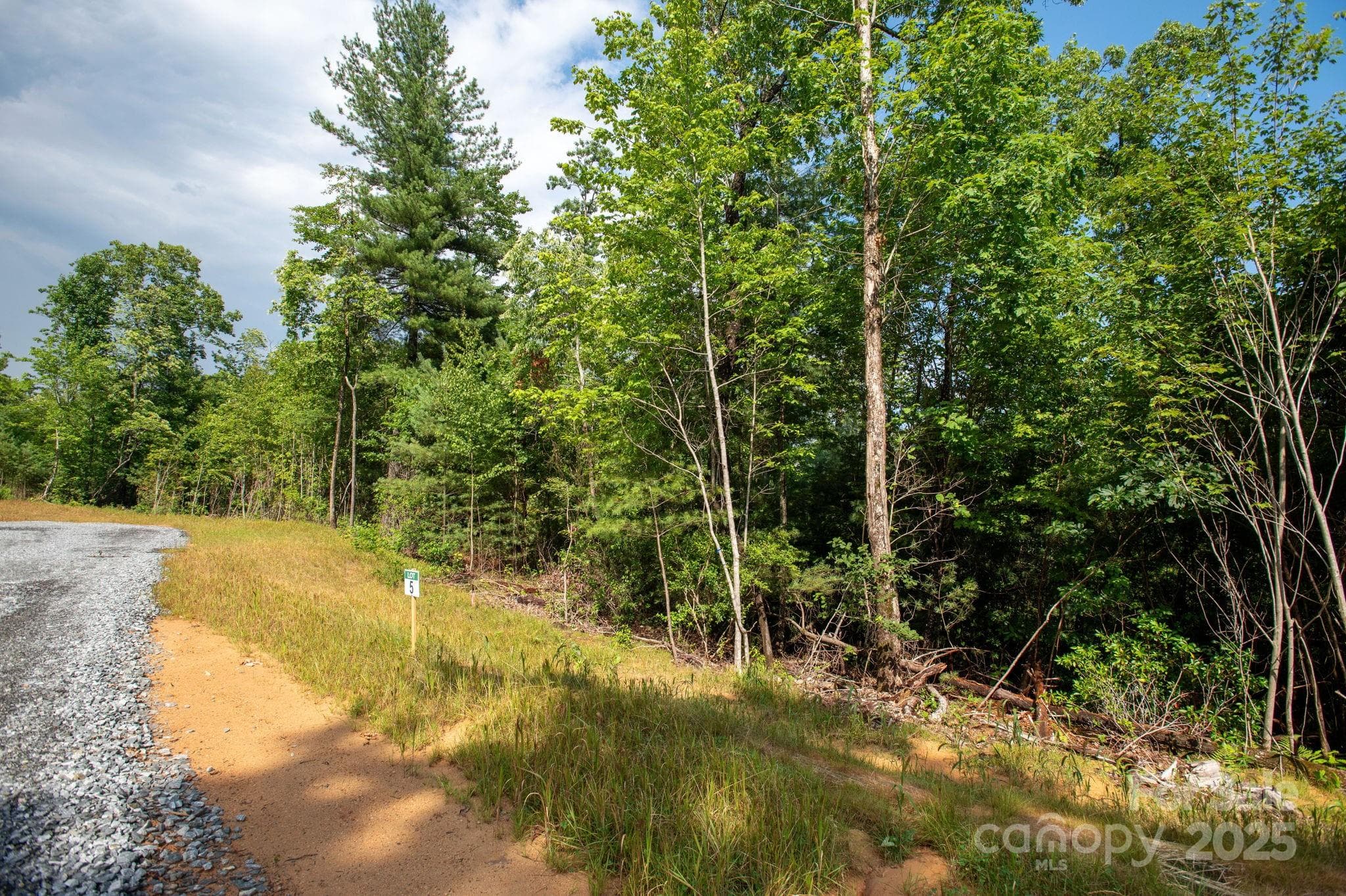 Lot at Lot # 5 Masterpiece View Drive, Hendersonville, photo 3 of 30