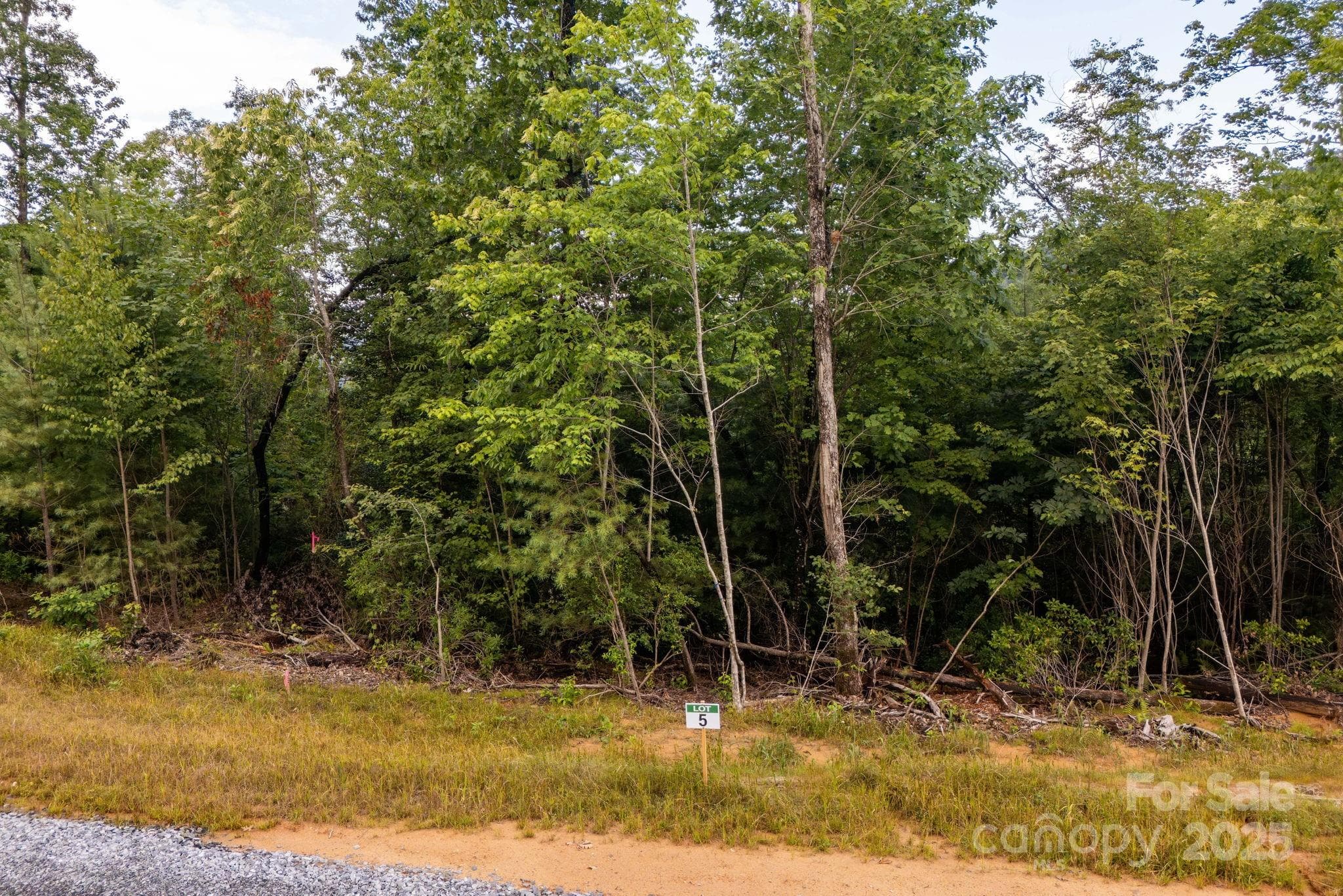 Lot at Lot # 5 Masterpiece View Drive, Hendersonville, photo 4 of 30