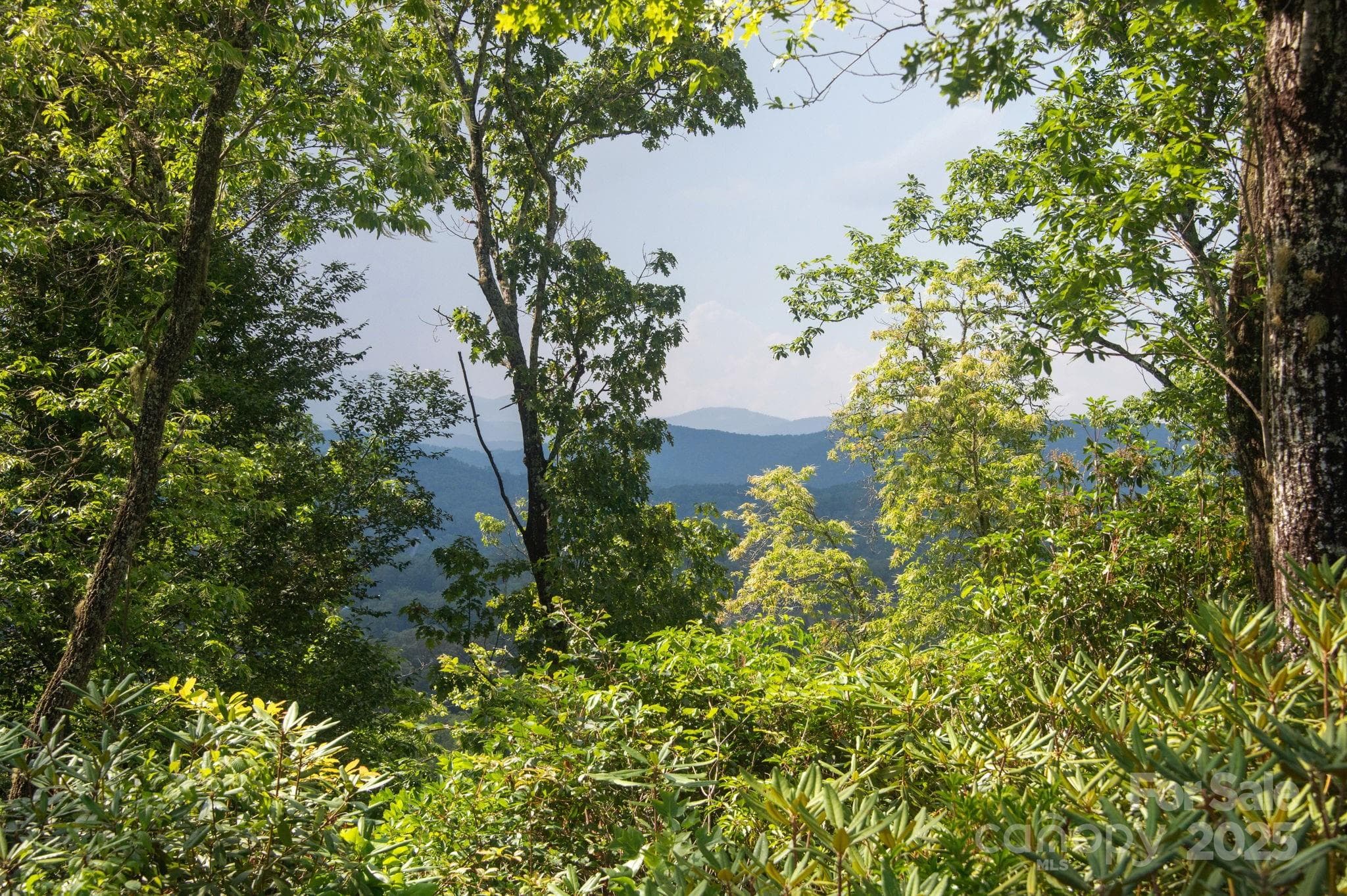 Lot at Lot # 7 Masterpiece View Drive, Hendersonville, photo 3 of 29