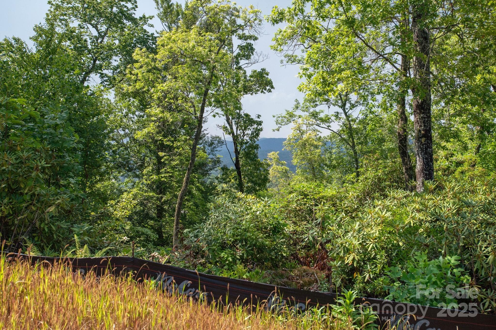 Lot at Lot # 7 Masterpiece View Drive, Hendersonville, photo 4 of 29