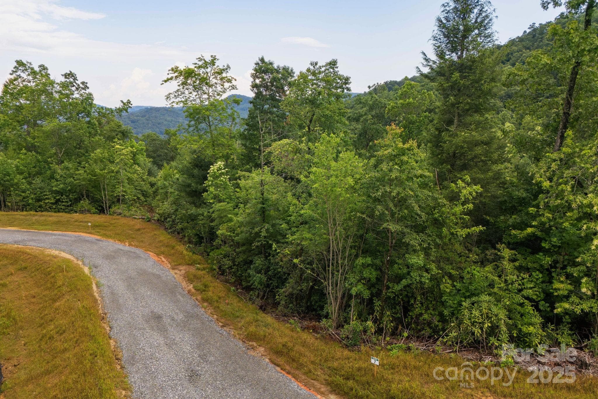Lot at Lot # 7 Masterpiece View Drive, Hendersonville, photo 6 of 29