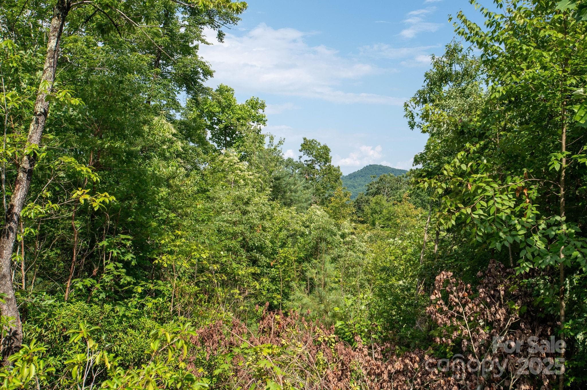Lot at Lot # 7 Masterpiece View Drive, Hendersonville, photo 8 of 29