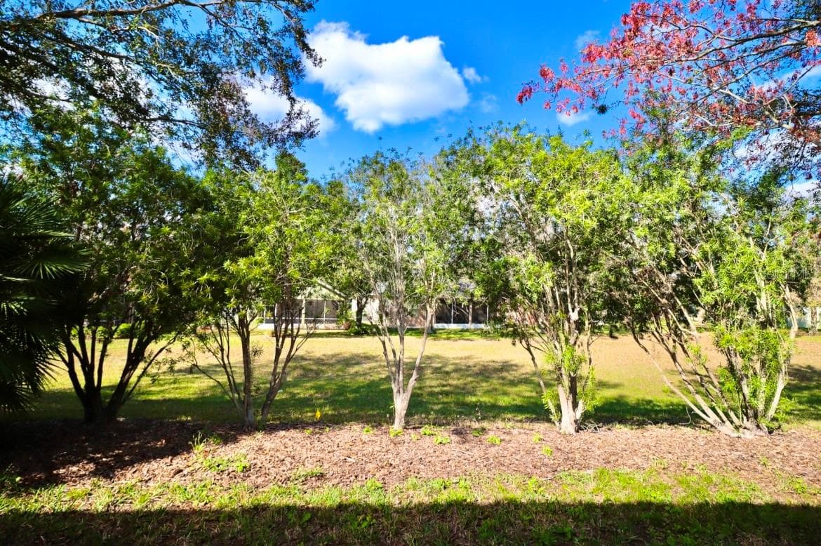 Back Yard - 119 CRESCENT MOON DR, GROVELAND