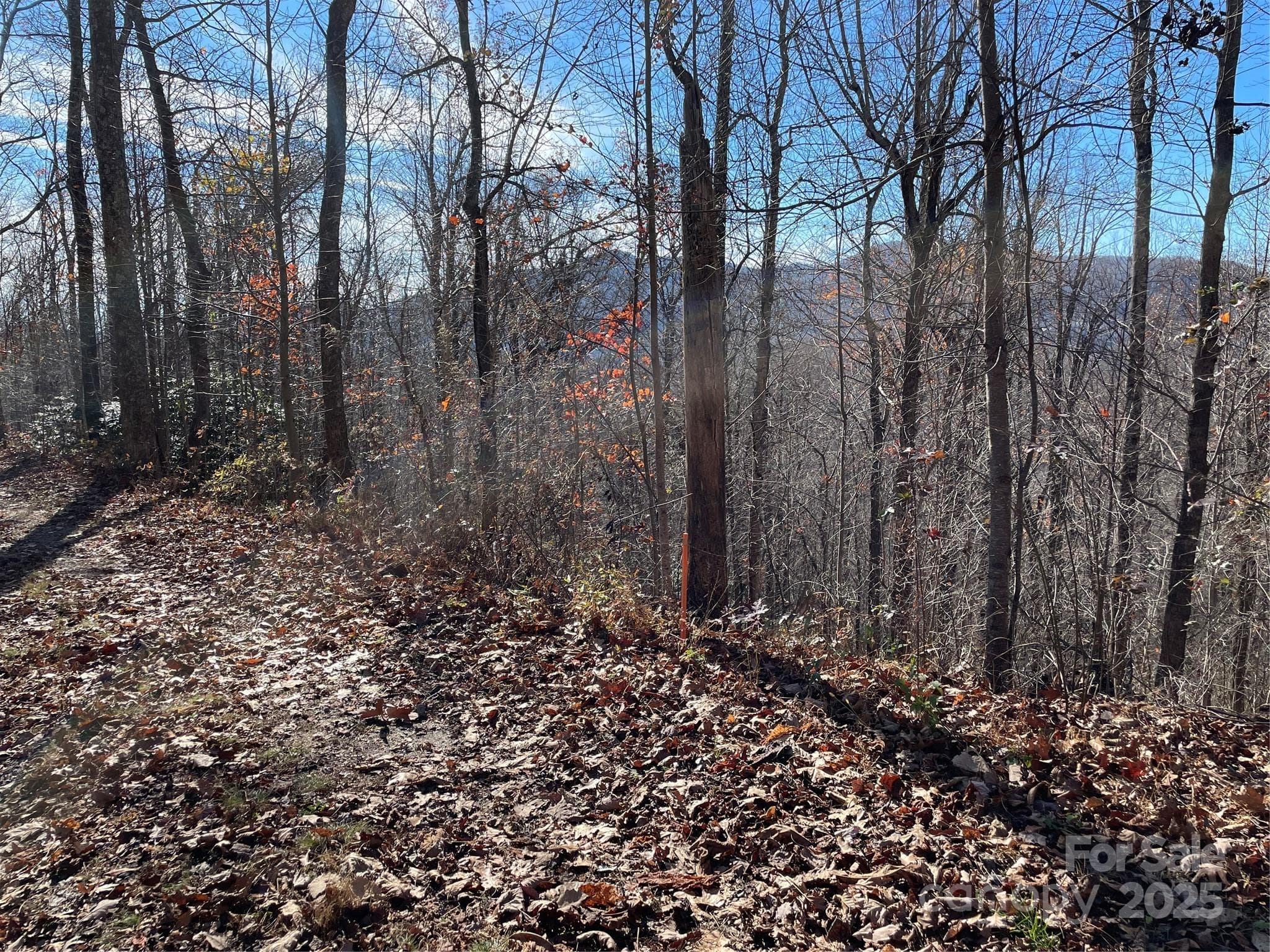 Standing on upper Nesbitt Chapel Rd. looking south from lot - 9999-1 Nesbitt Chapel Road, Fairview