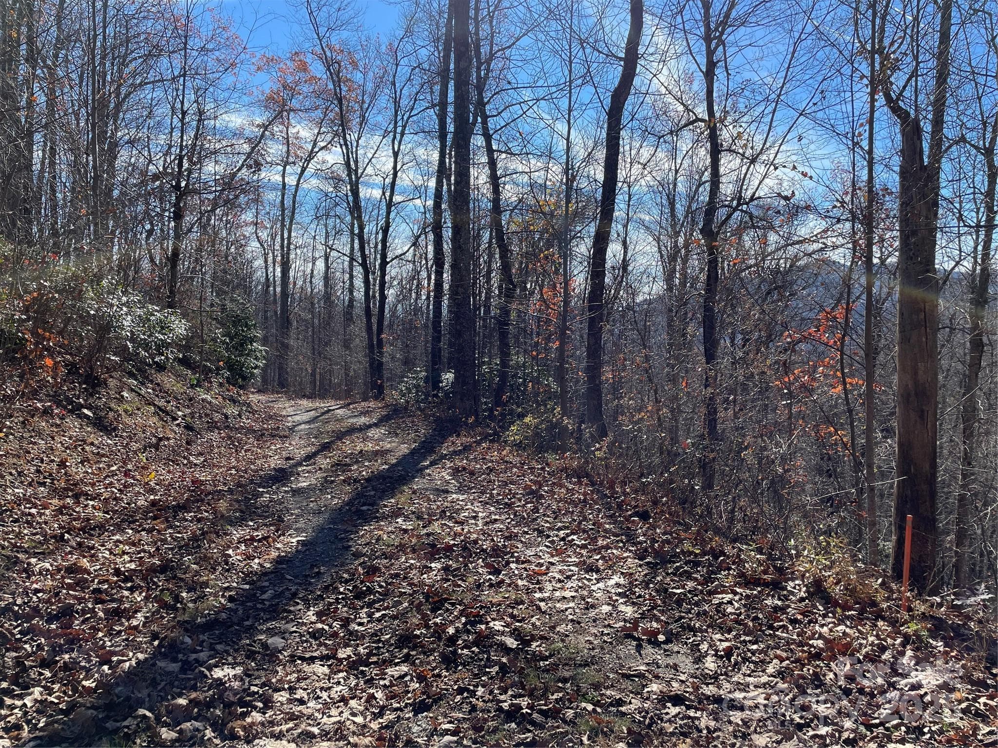 View south from upper Nesbitt Chapel Road at upper border of the lot. - 9999-1 Nesbitt Chapel Road, Fairview