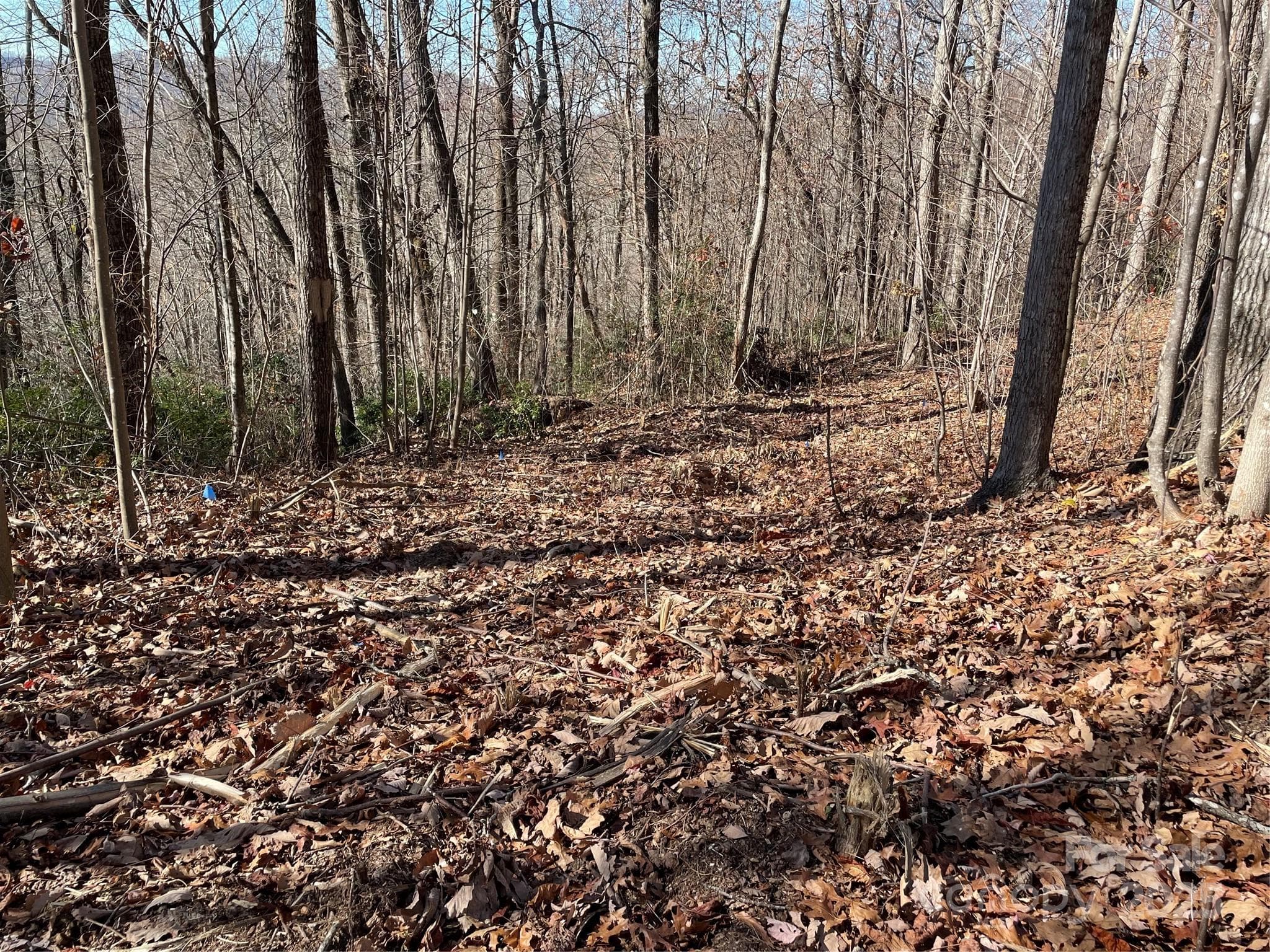Proposed house site. - 9999-1 Nesbitt Chapel Road, Fairview