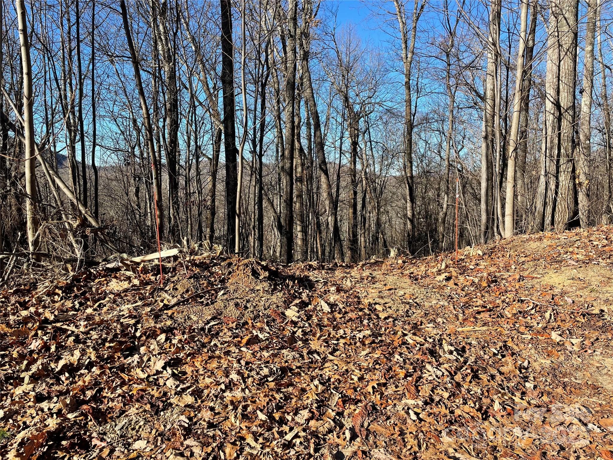 Looking at entrance to proposed driveway down to home site. - 9999-1 Nesbitt Chapel Road, Fairview