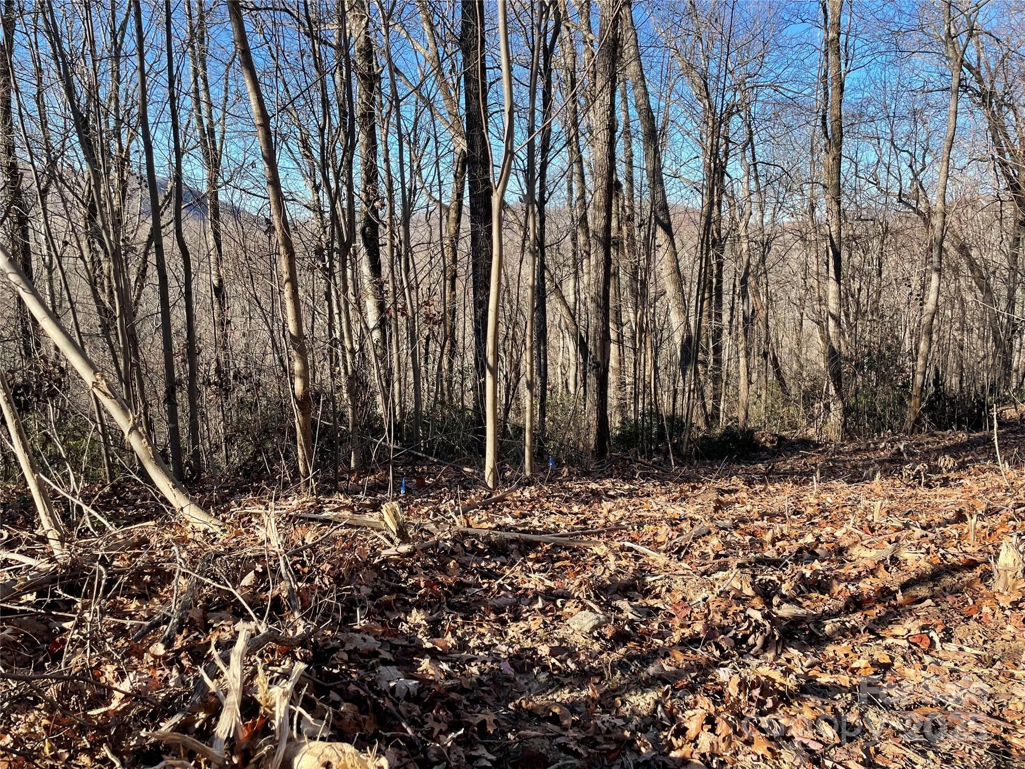 View west from proposed home site - 9999-1 Nesbitt Chapel Road, Fairview