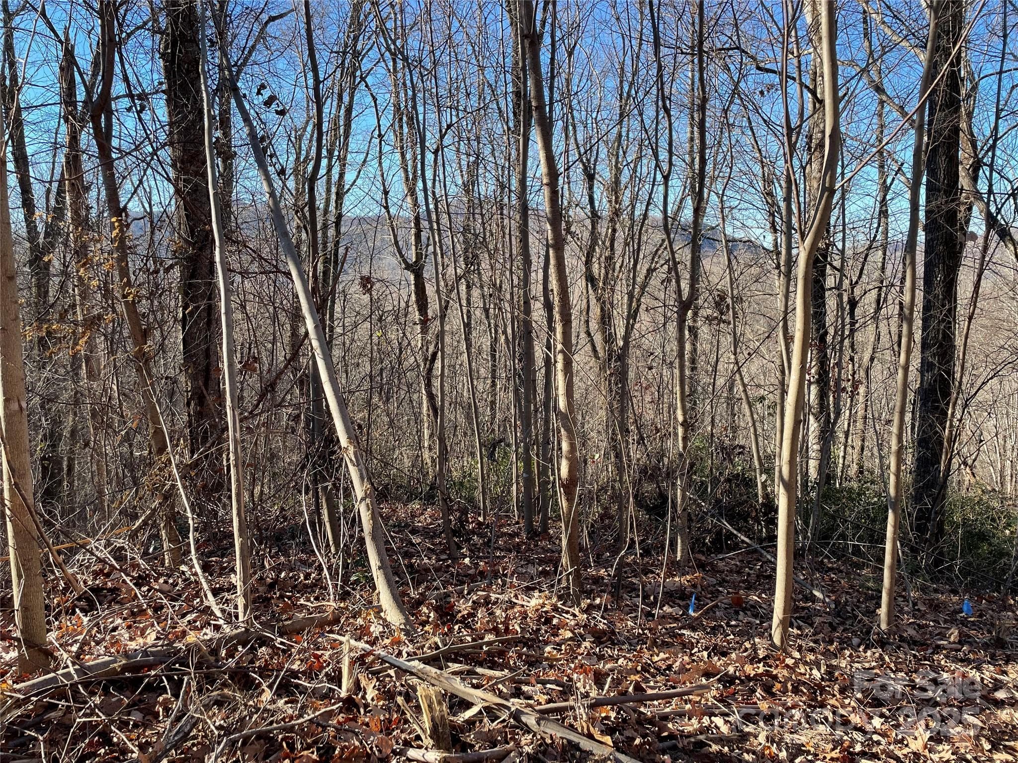 view south west from proposed home site. - 9999-1 Nesbitt Chapel Road, Fairview